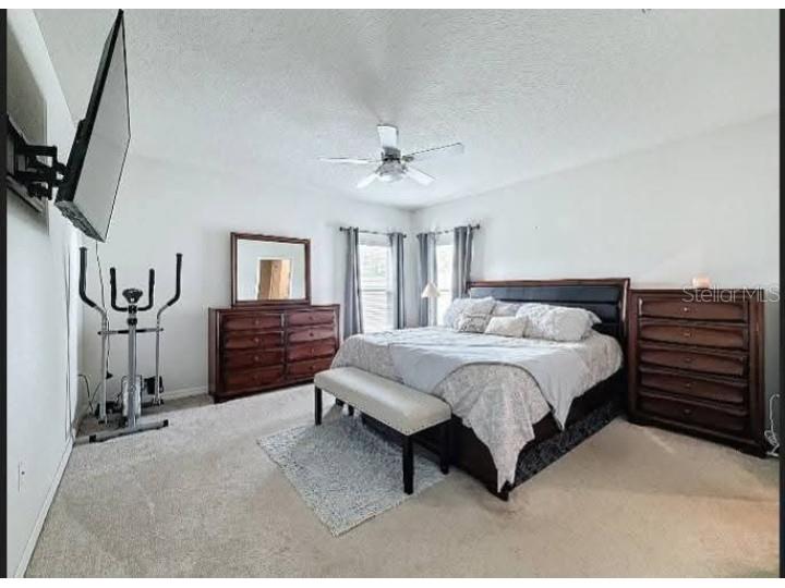 1228 Haines Dr Winter Haven FL 33881 S5148202 image6