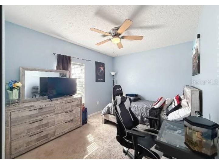 1228 Haines Dr Winter Haven FL 33881 S5148202 image7