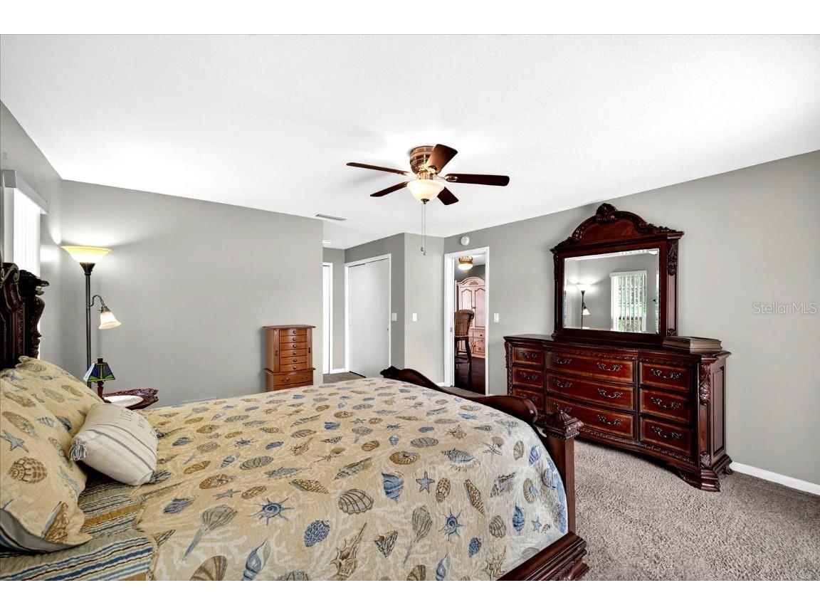 1228 Inverness Drive Dunedin FL 34698 TB8411917 image13