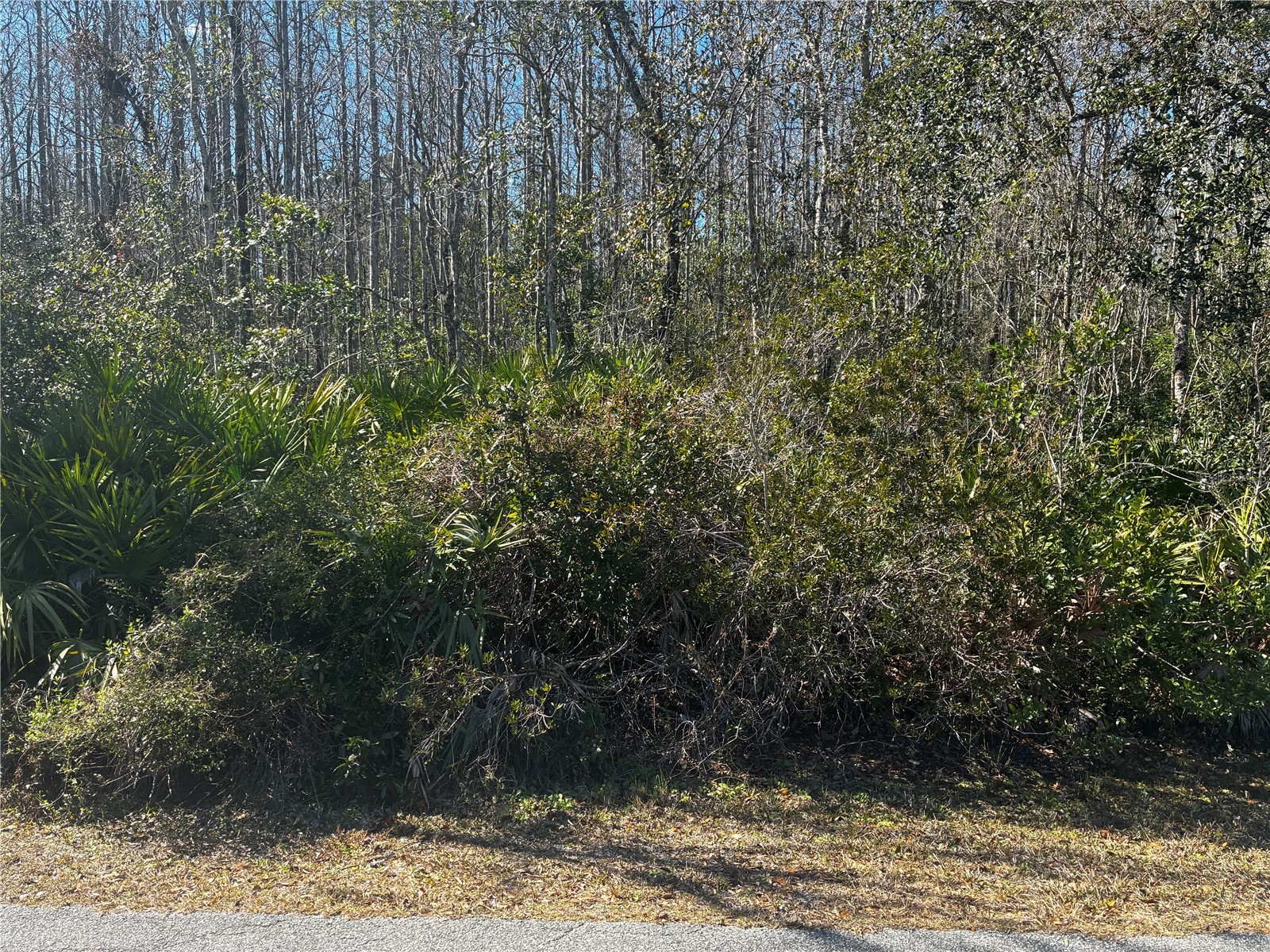 1228 Murdock Boulevard Orlando FL 32825 O6383326 image1