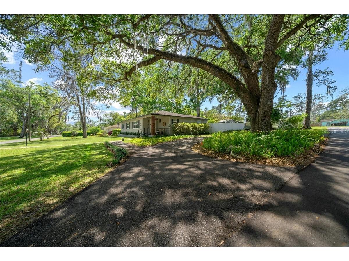1228 NE 17th Terrace Ocala FL 34470 OM718863 image11