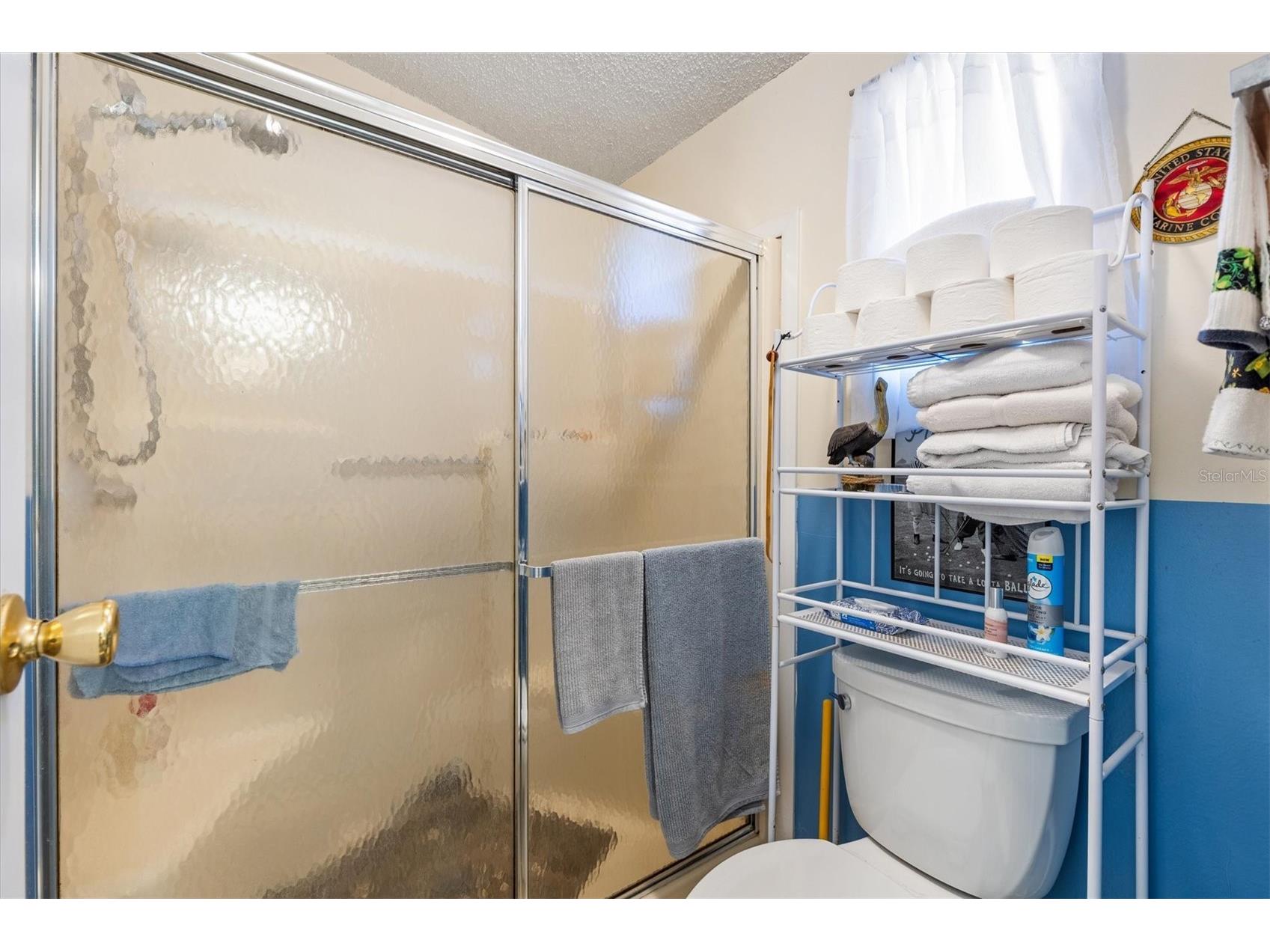 1228 Palmetto Drive The Villages FL 32159 G5111660 image20