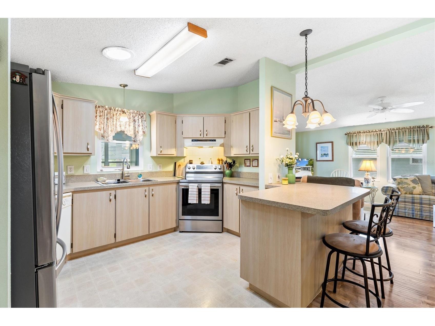1228 Palmetto Drive The Villages FL 32159 G5111660 image8