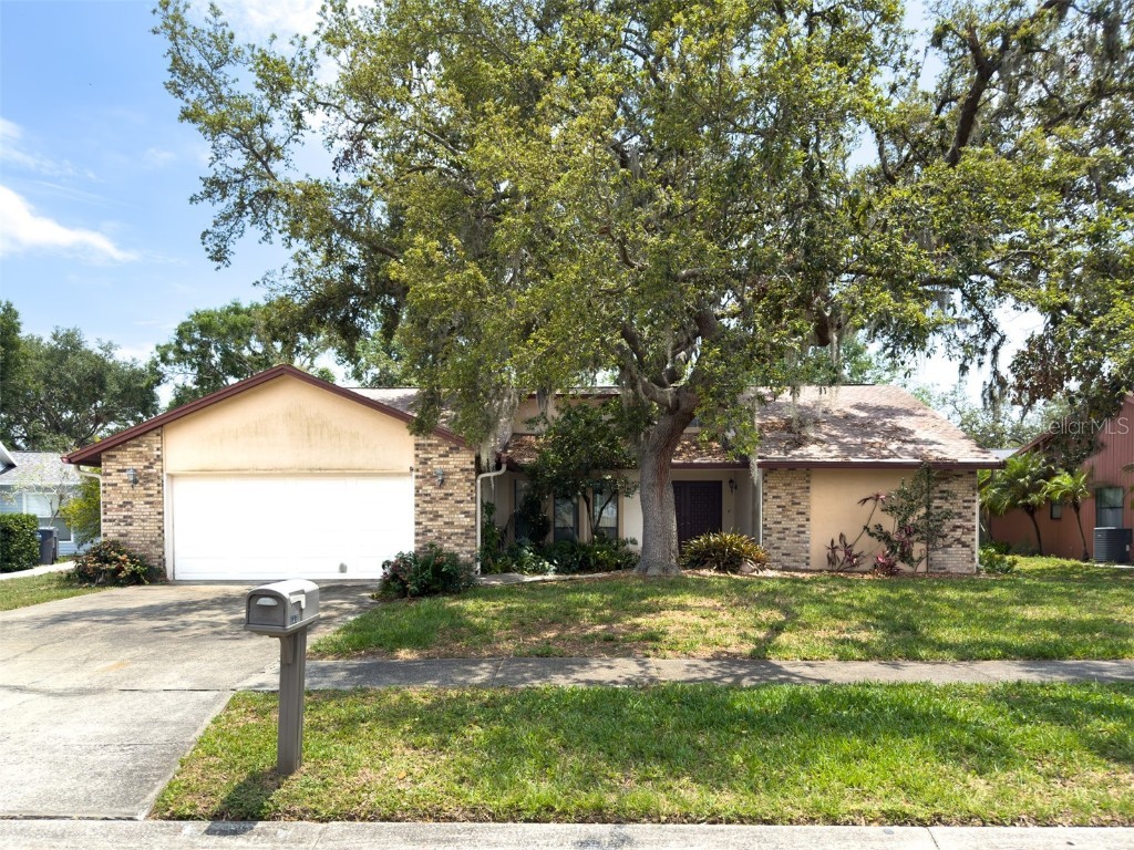 1228 Rainbrook Circle Valrico FL 33596 TB8390310 image1