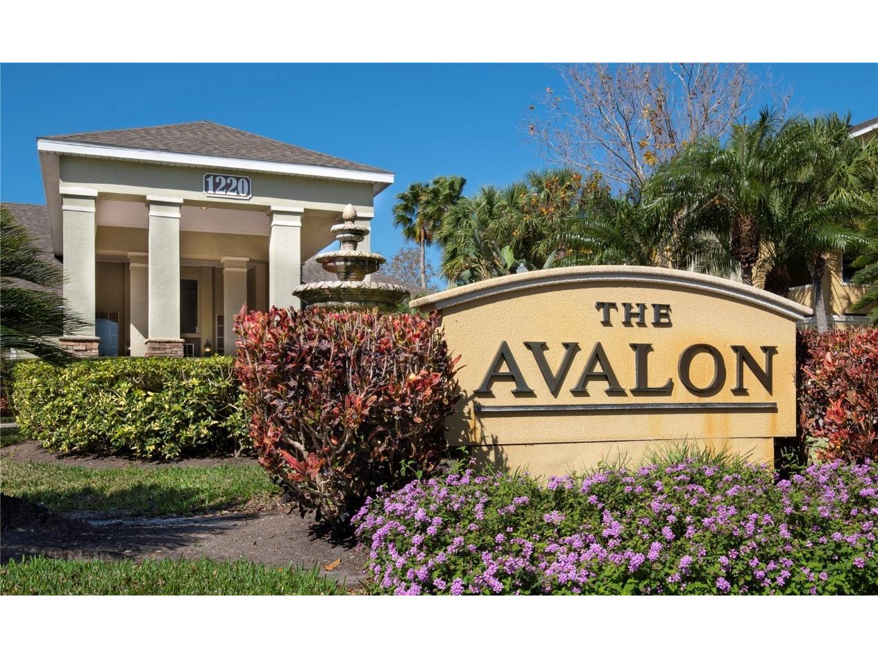 1228 S Missouri Avenue #608 Clearwater FL 33756 U8231920 image1