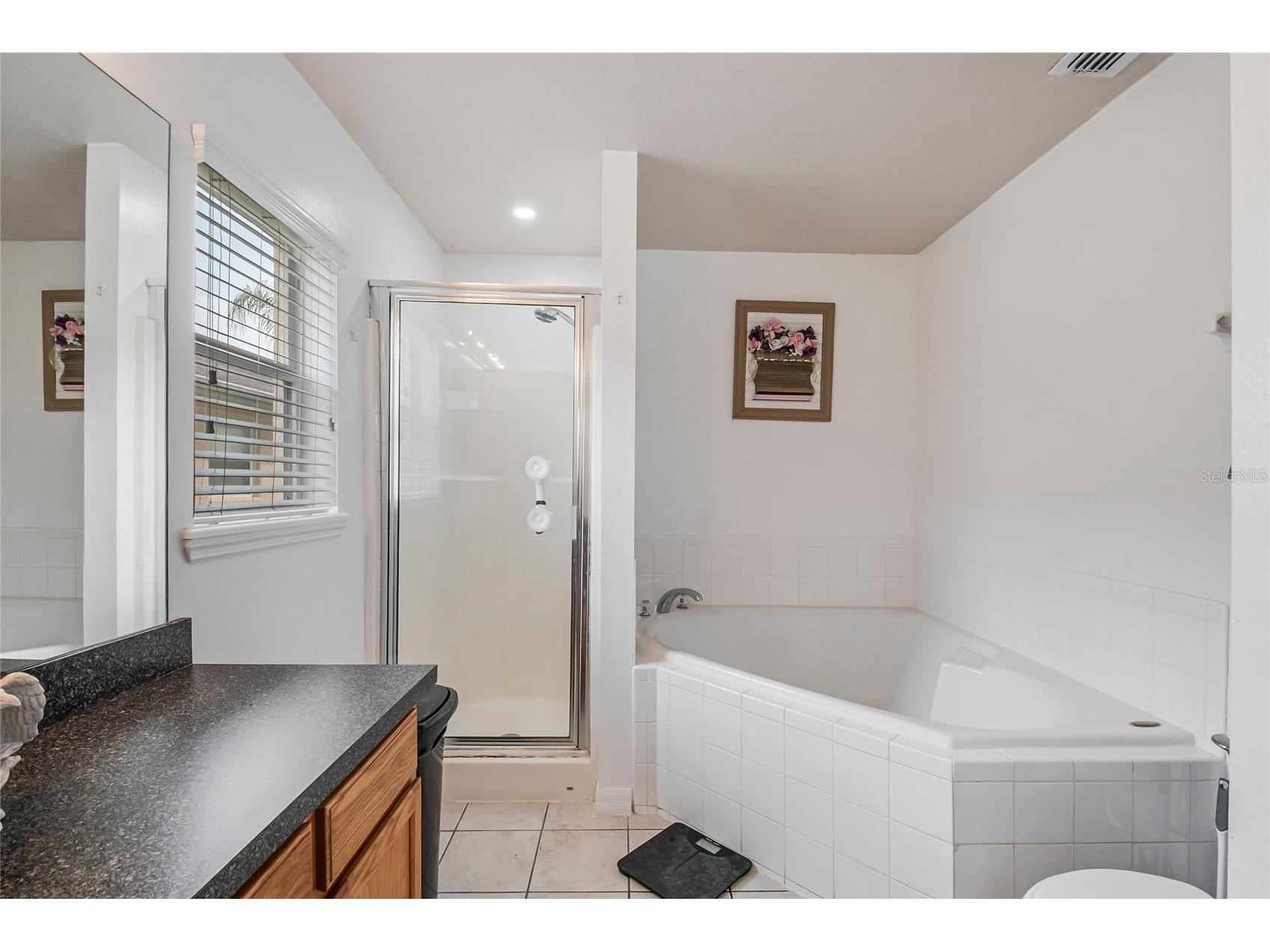 1228 Sandy Ridge Drive Davenport FL 33896 O6417009 image19
