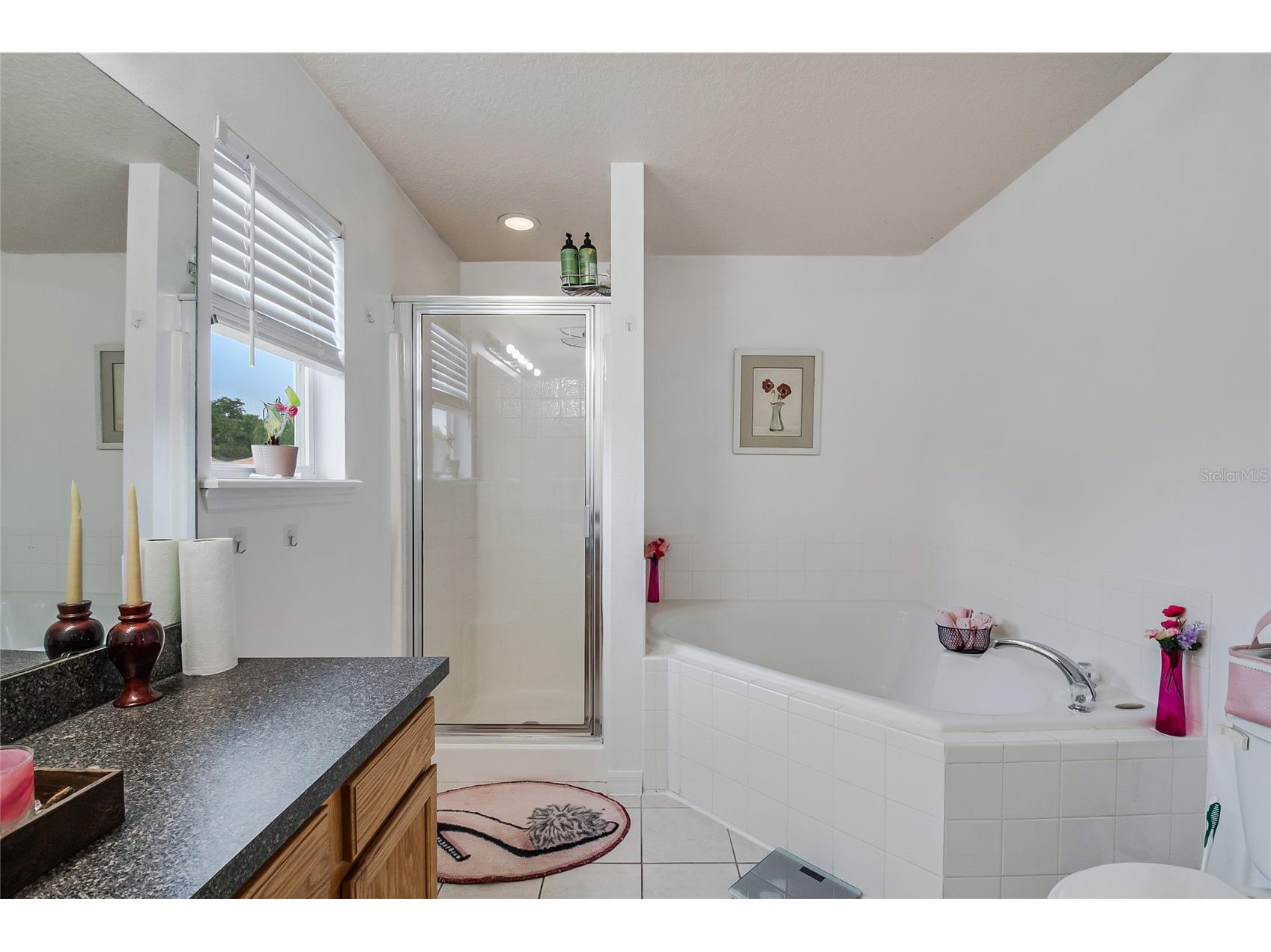 1228 Sandy Ridge Drive Davenport FL 33896 O6417009 image20