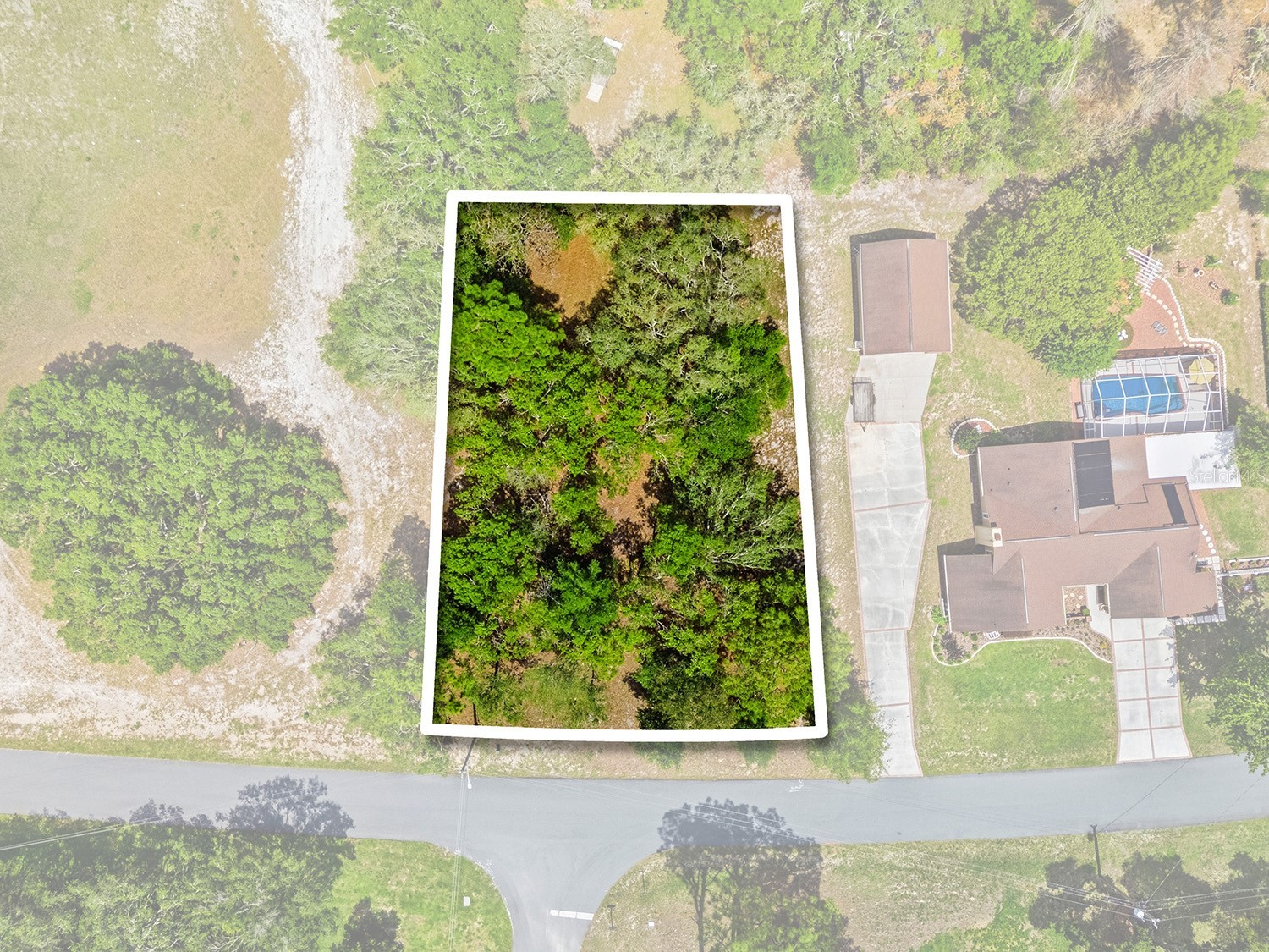 1228 Staten Avenue Spring Hill FL 34609 W7886812 image1