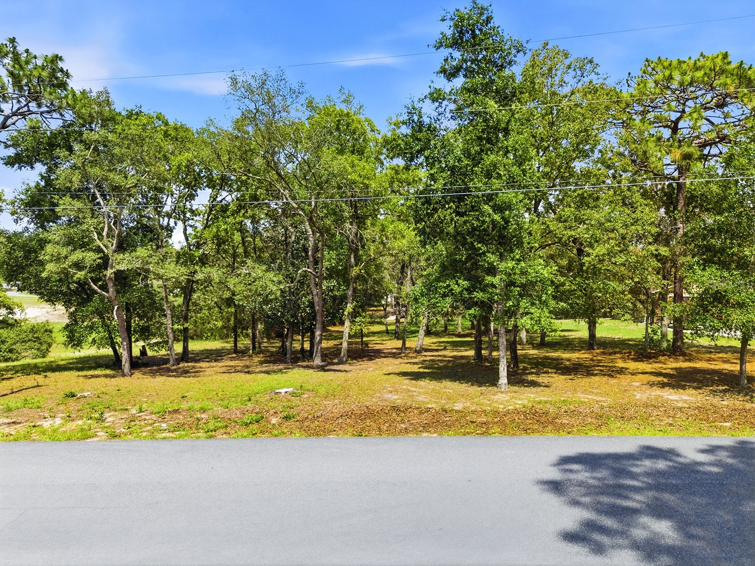 1228 Staten Avenue Spring Hill FL 34609 W7886812 image4