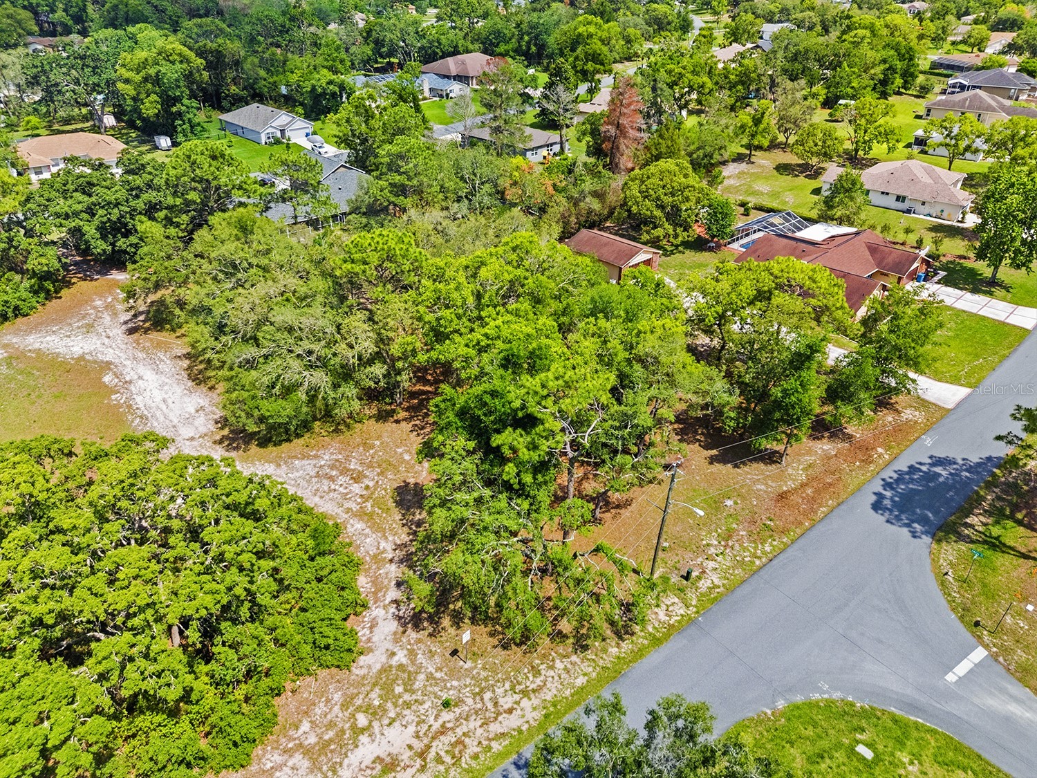 1228 Staten Avenue Spring Hill FL 34609 W7886812 image5