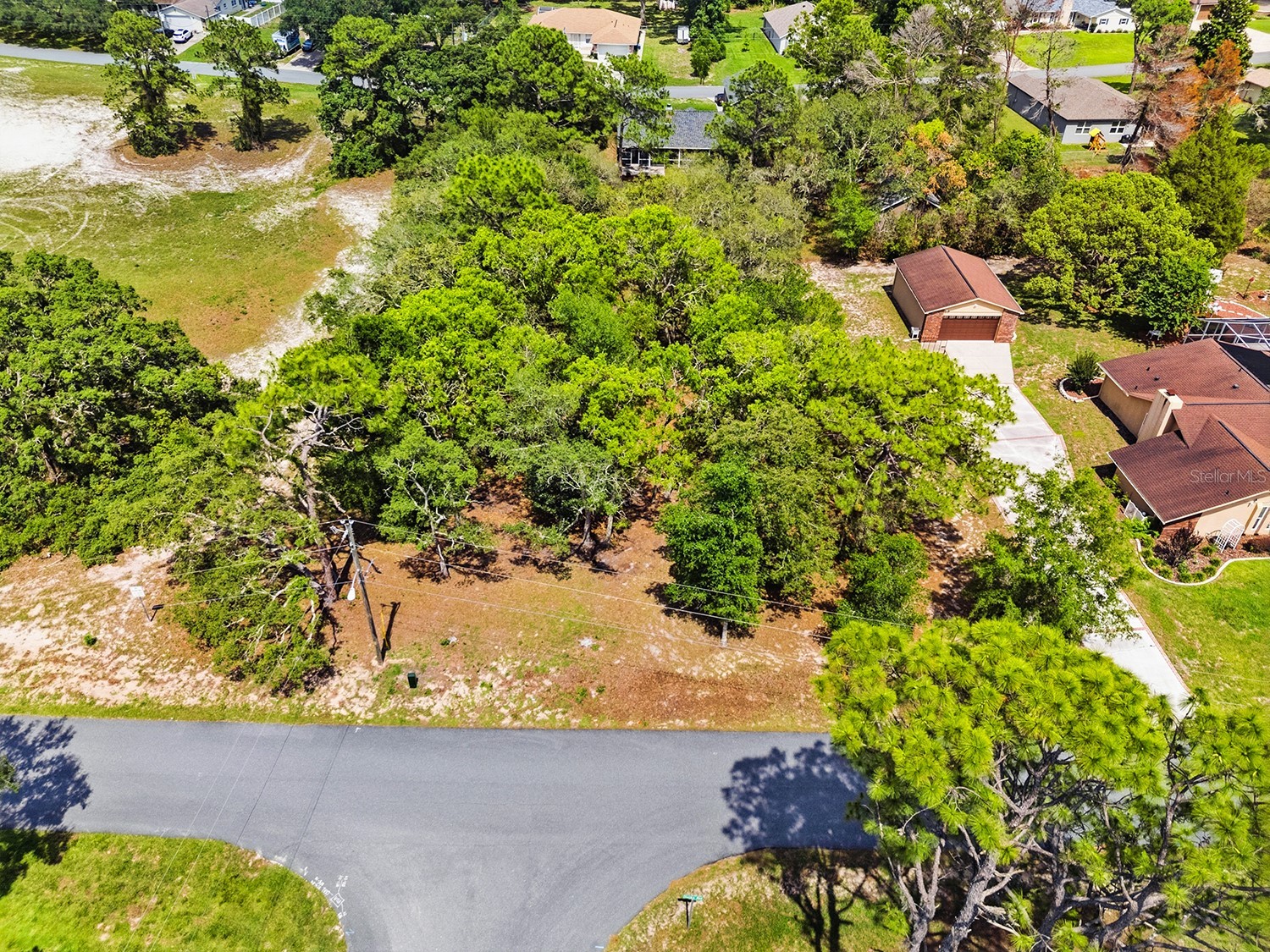 1228 Staten Avenue Spring Hill FL 34609 W7886812 image6