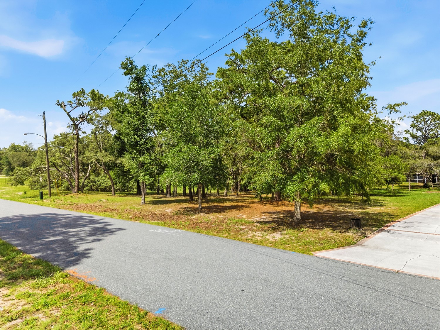 1228 Staten Avenue Spring Hill FL 34609 W7886812 image7