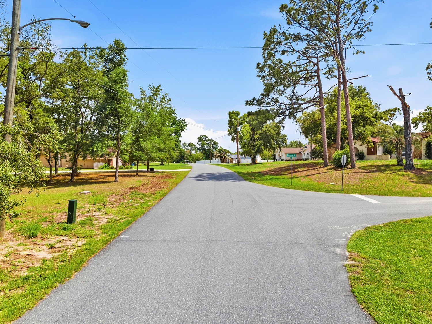 1228 Staten Avenue Spring Hill FL 34609 W7886812 image8