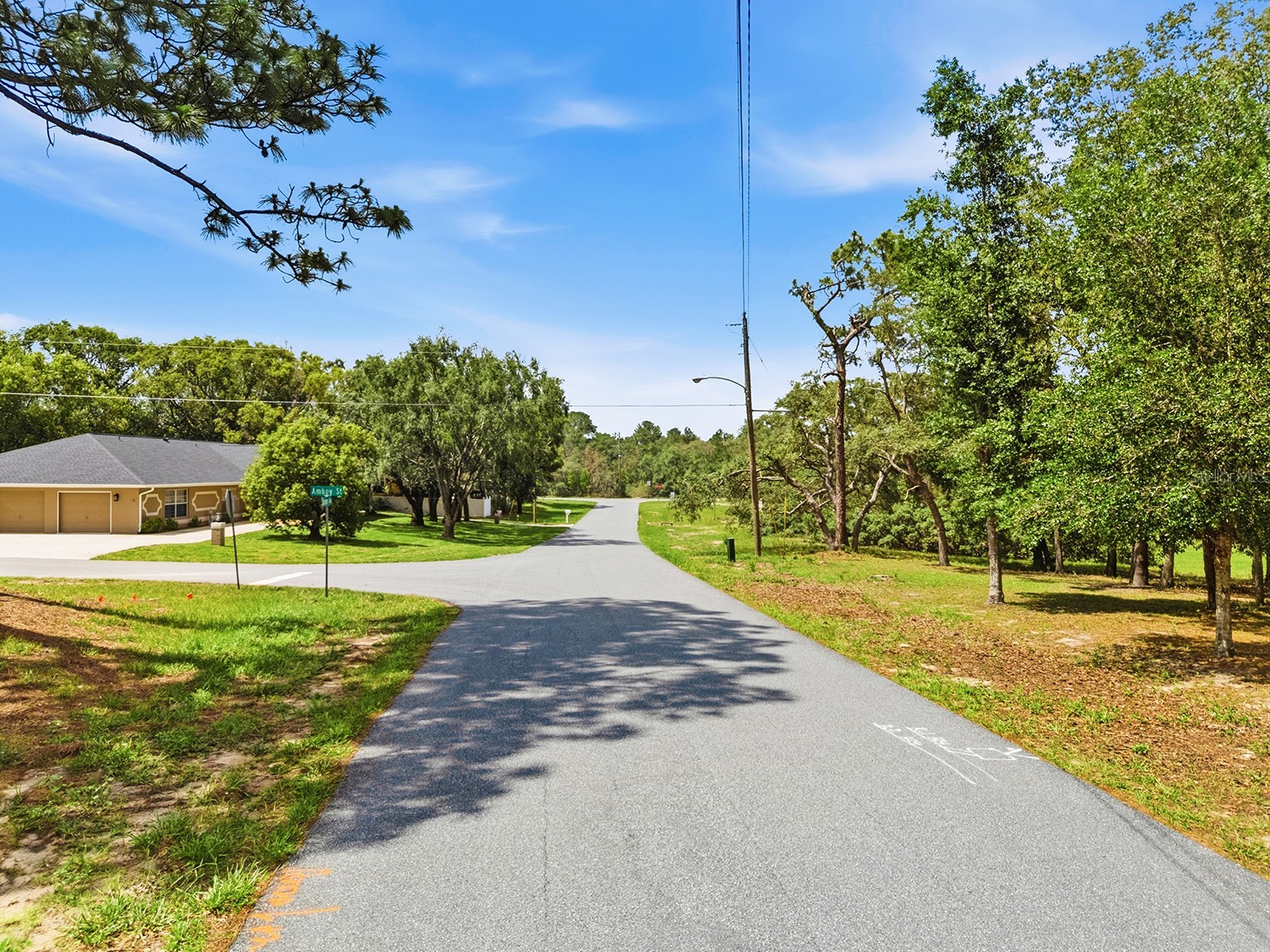 1228 Staten Avenue Spring Hill FL 34609 W7886812 image9