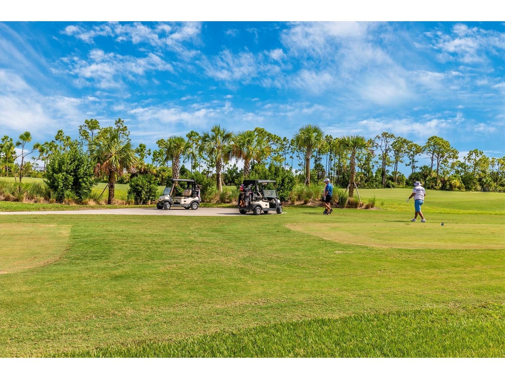 12280 Wellen Golf Street #205 Venice FL 34293 N6143206 image69