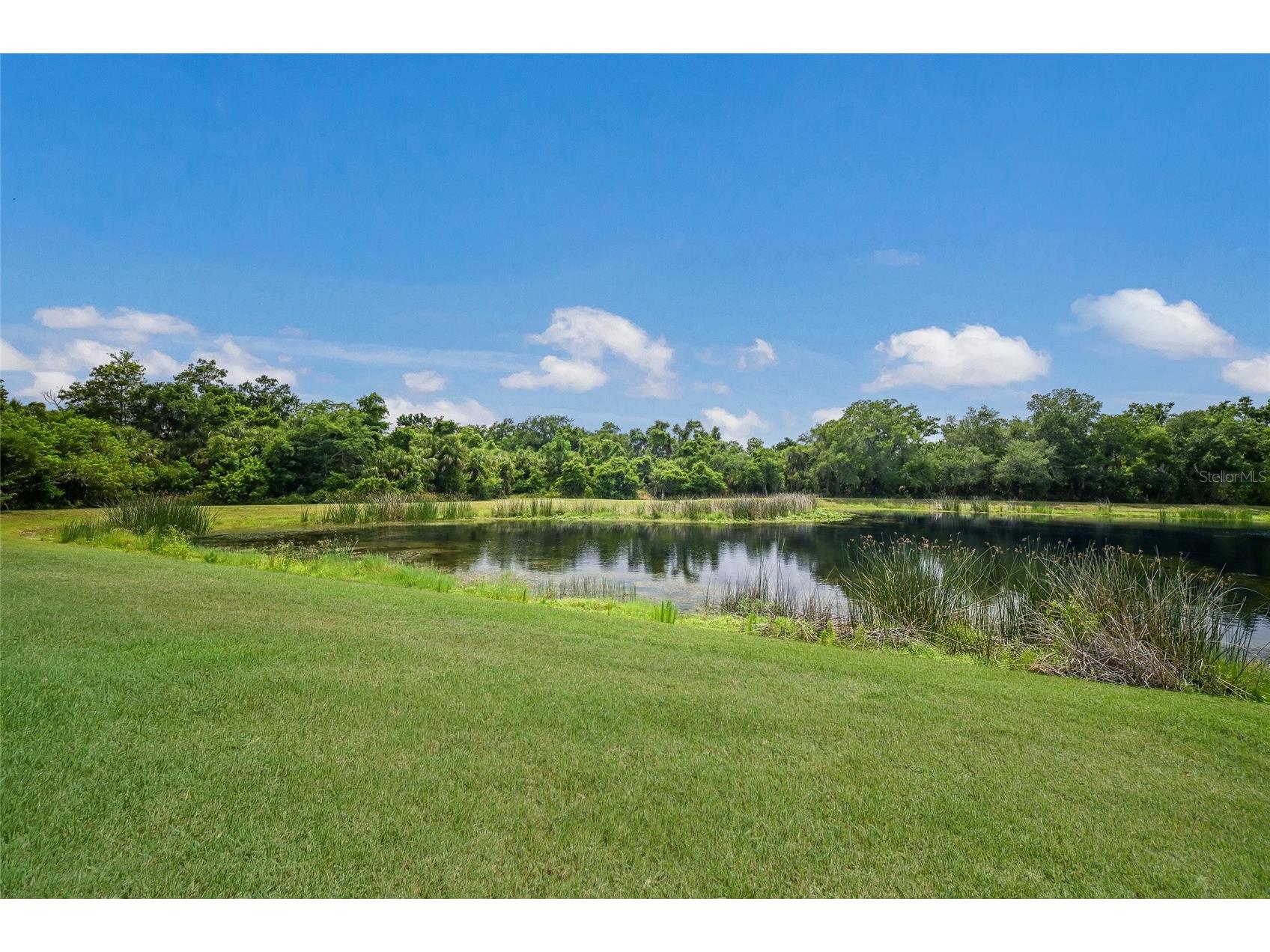 12287 Lavender Loop Bradenton FL 34212 A4693729 image38