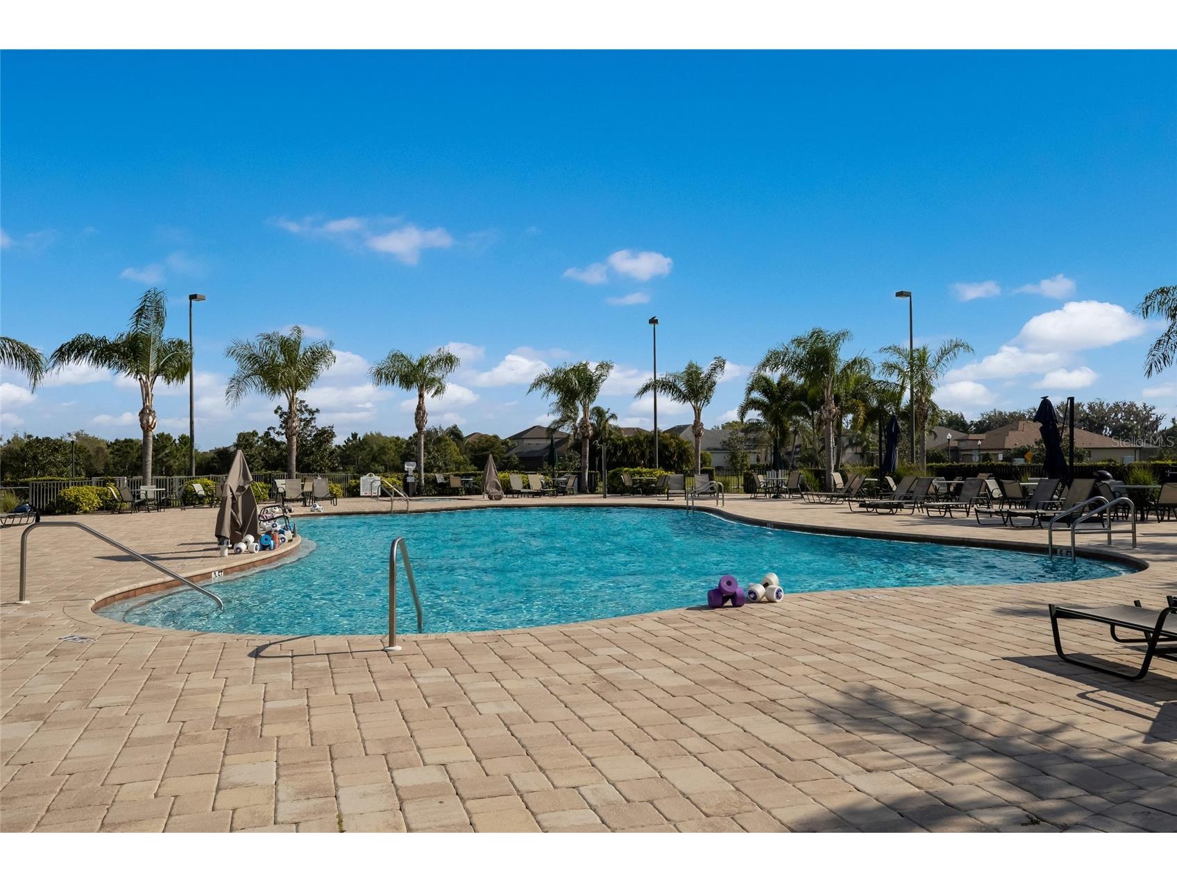 12287 Lavender Loop Bradenton FL 34212 A4693729 image58