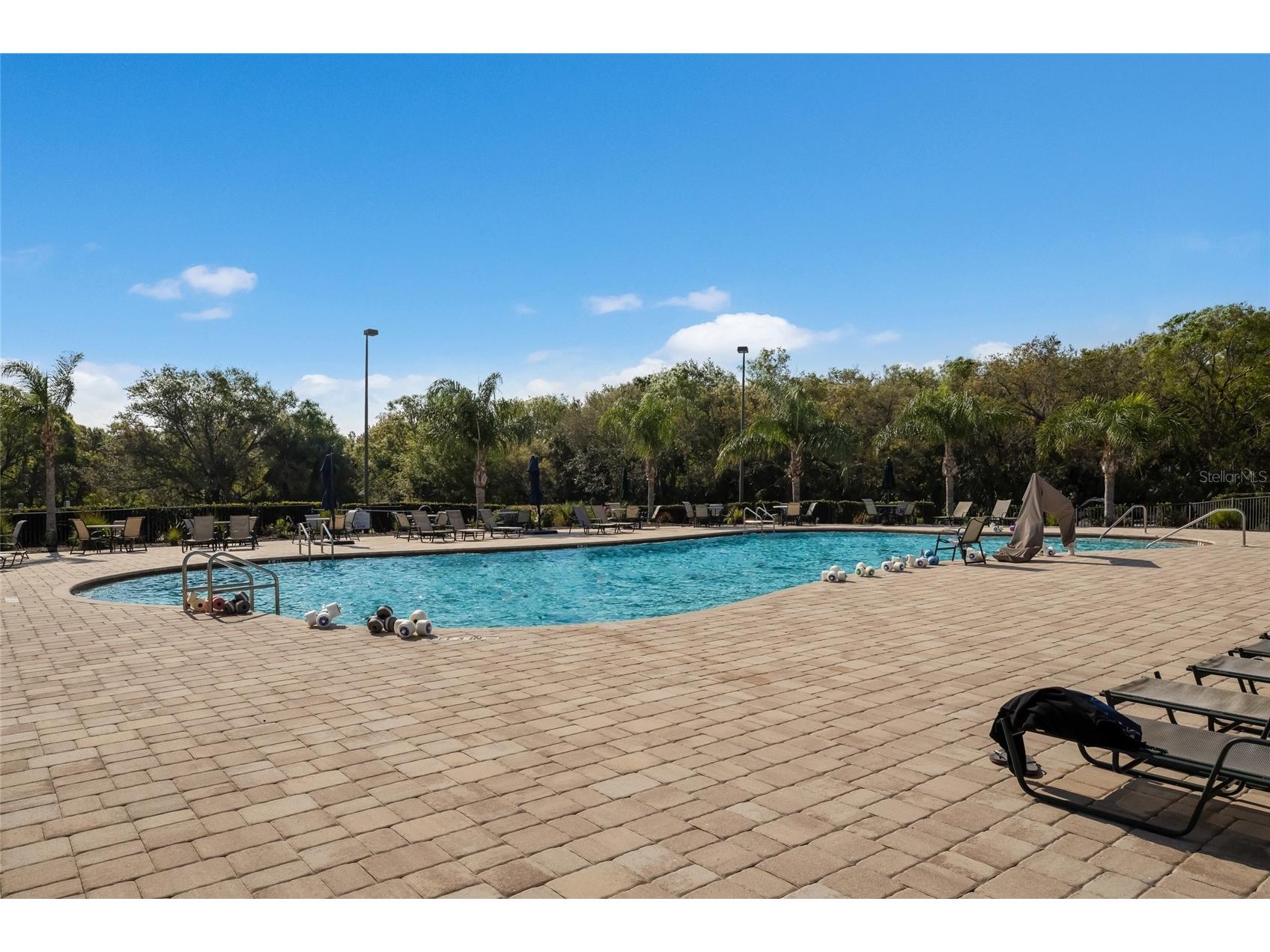12287 Lavender Loop Bradenton FL 34212 A4693729 image59