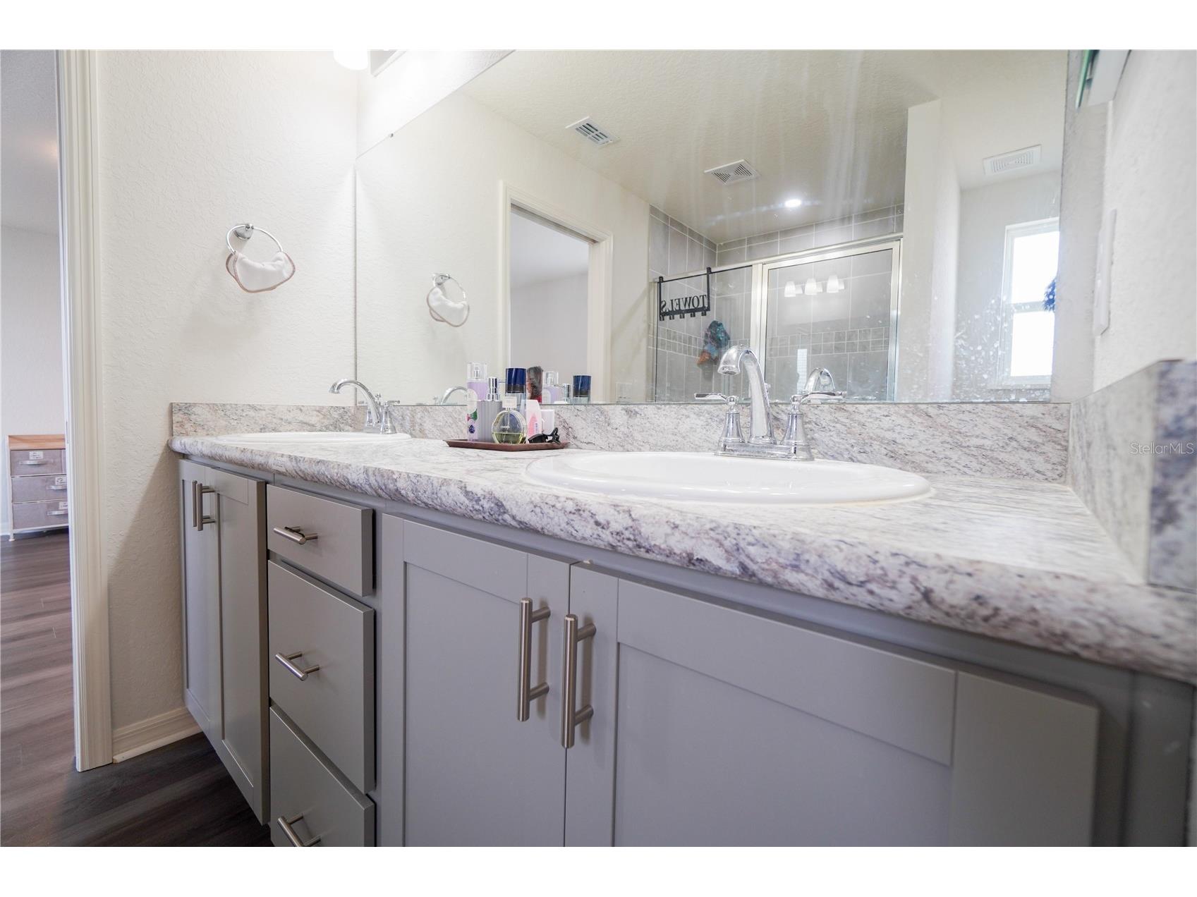 12288 Cypress Branch Street Riverview FL 33579 TB8468117 image28