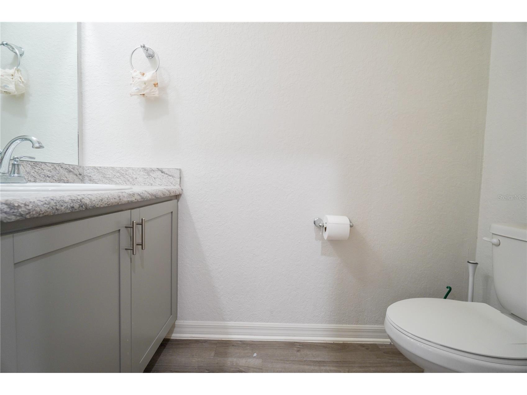 12288 Cypress Branch Street Riverview FL 33579 TB8468117 image34