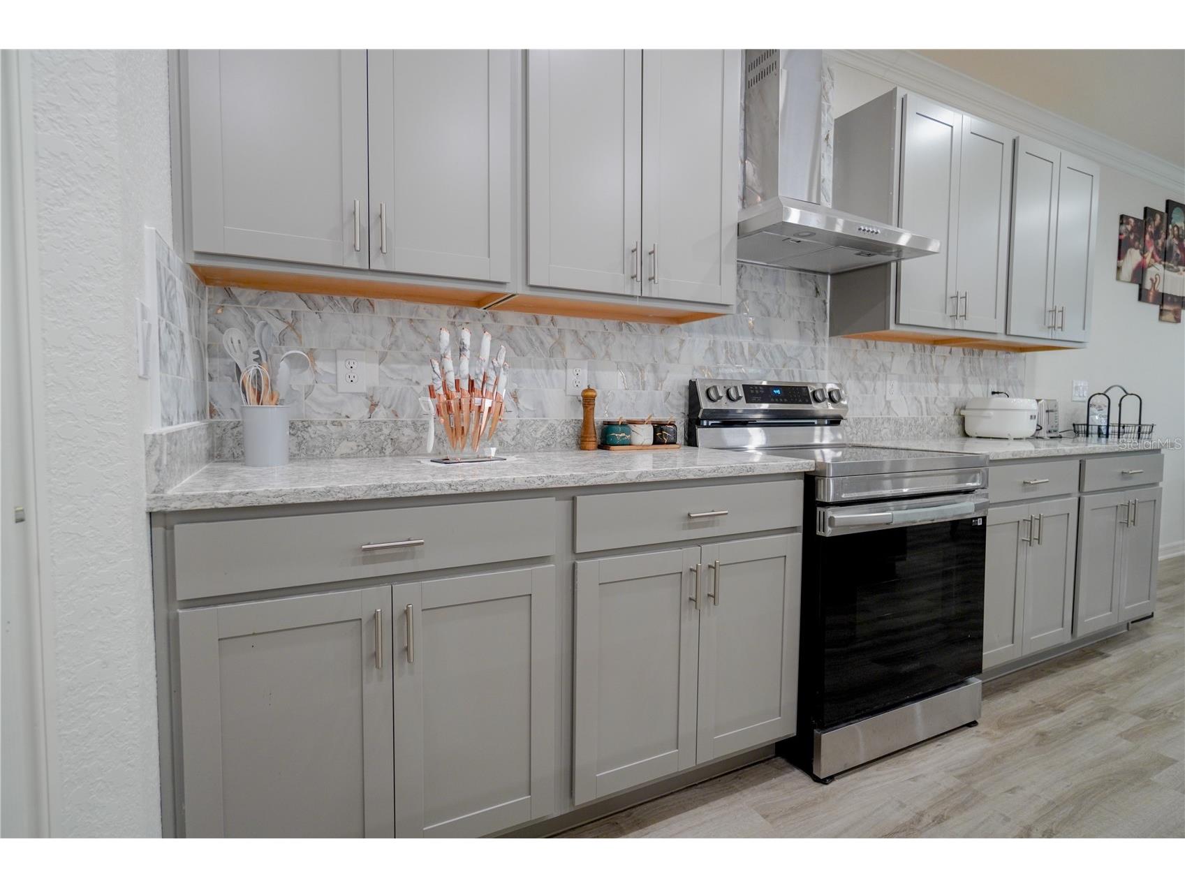 12288 Cypress Branch Street Riverview FL 33579 TB8468117 image41
