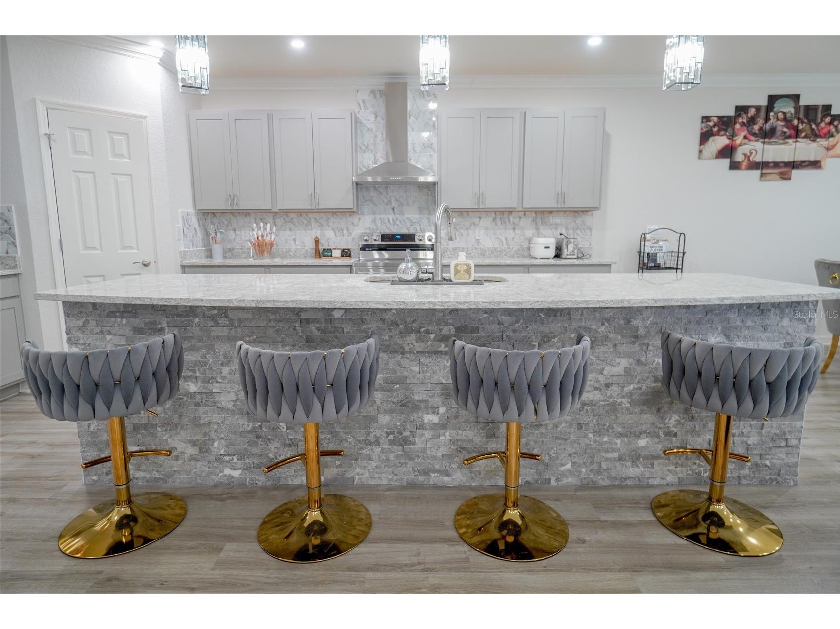 12288 Cypress Branch Street Riverview FL 33579 TB8468117 image42