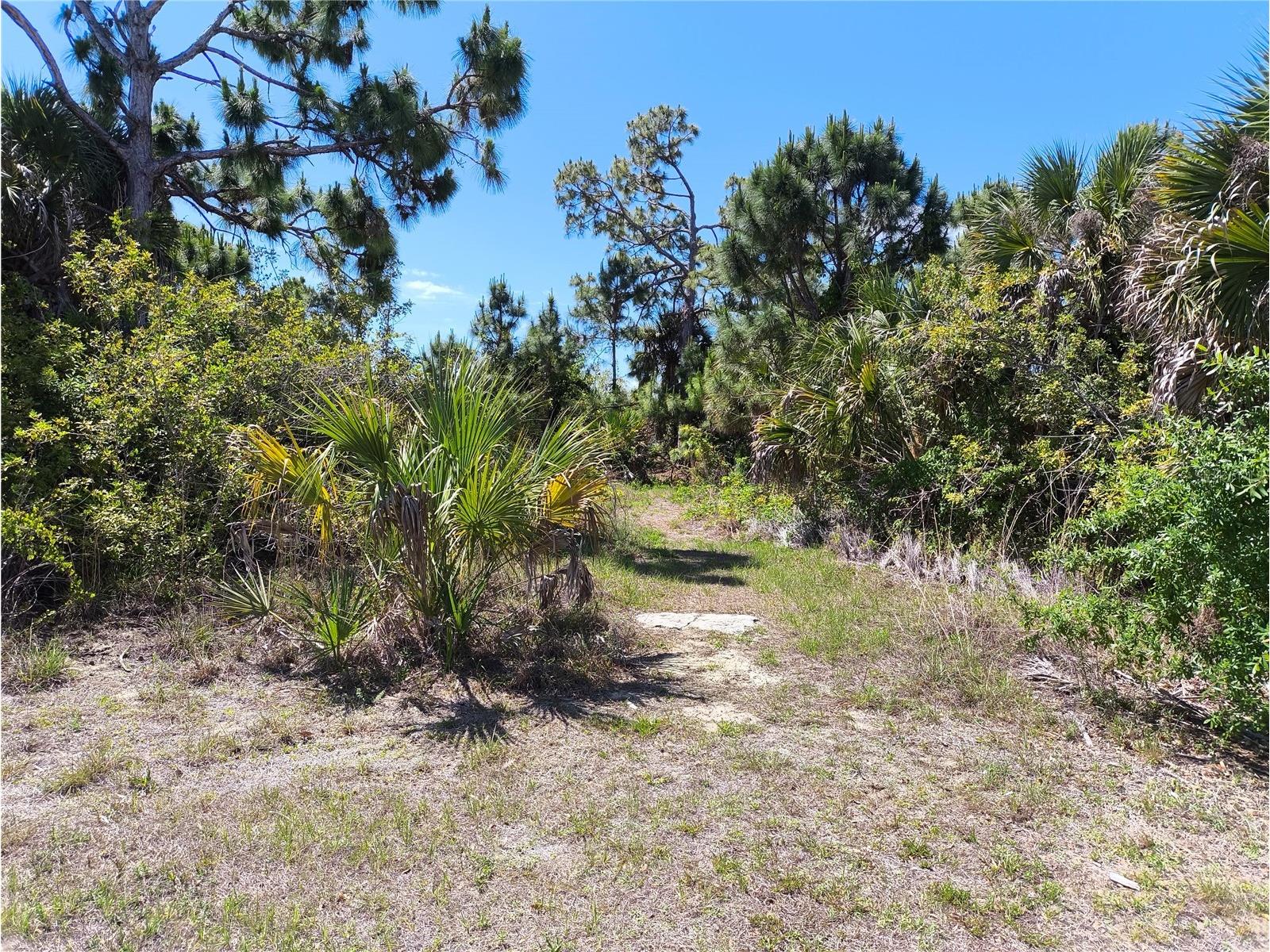 12289 Clarendon Avenue Port Charlotte FL 33981 O6401929 image1