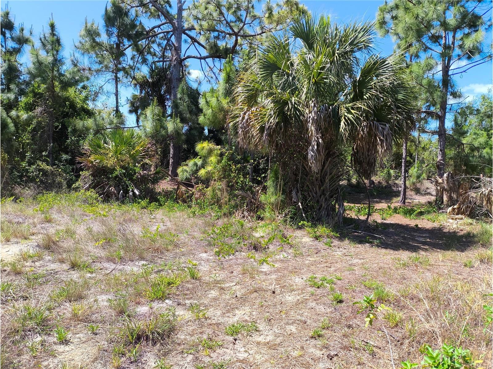 12289 Clarendon Avenue Port Charlotte FL 33981 O6401929 image2