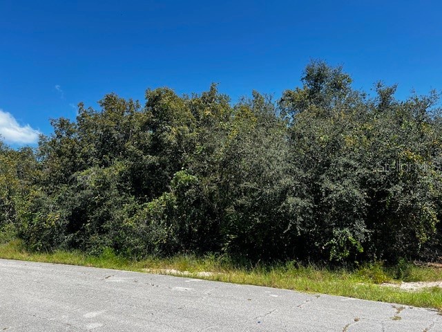 1229 Baltic Drive Poinciana FL 34759 S5134712 image2