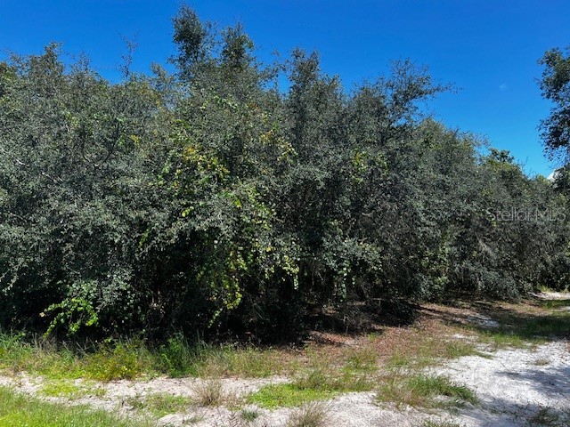 1229 Baltic Drive Poinciana FL 34759 S5134712 image3