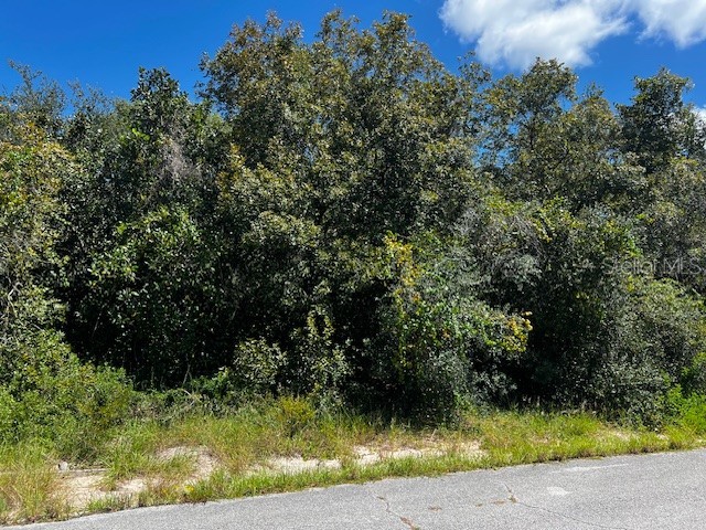 1229 Baltic Drive Poinciana FL 34759 S5134712 image4