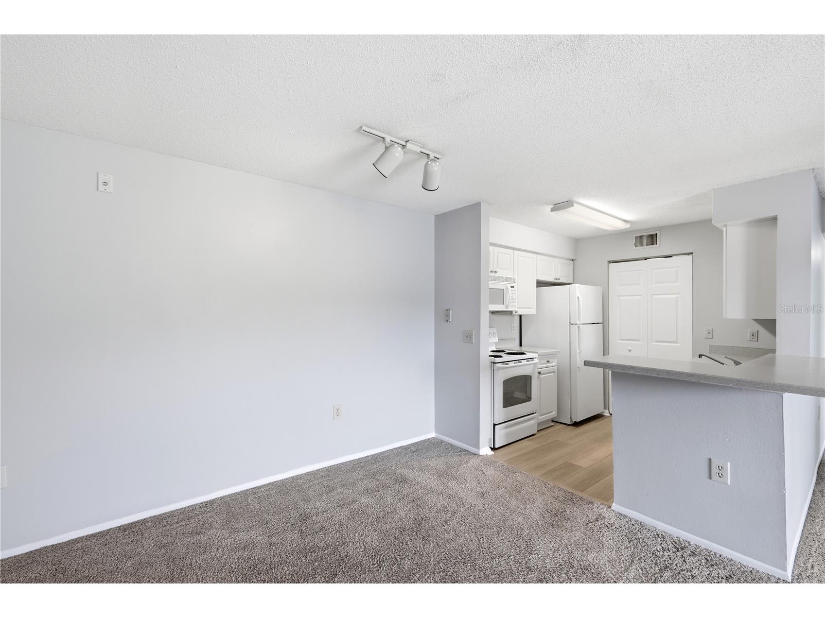1229 Bermuda Lakes Lane #208 Kissimmee FL 34741 G5114526 image5