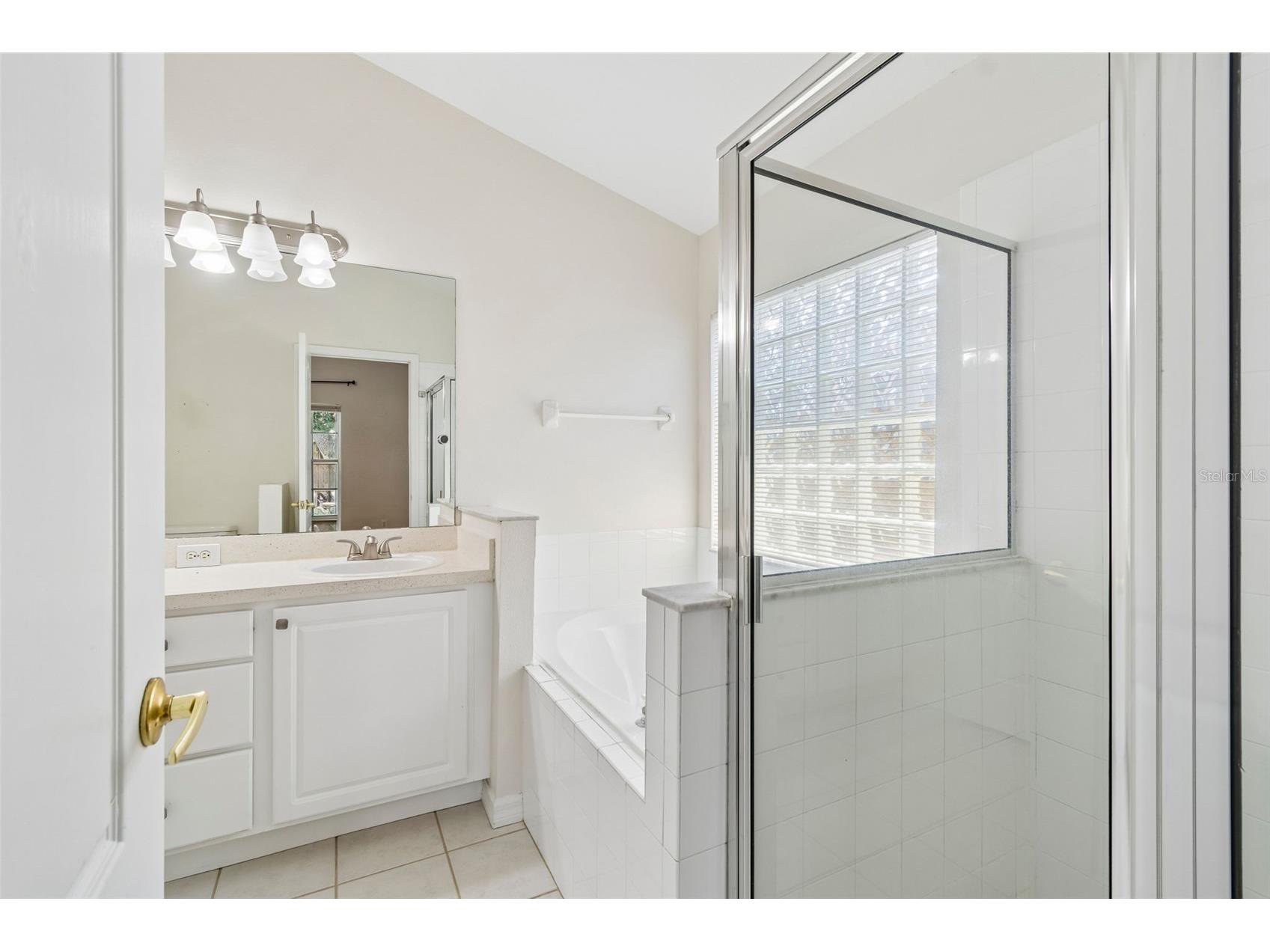 1229 Crimson Clover Lane Wesley Chapel FL 33543 TB8521097 image26