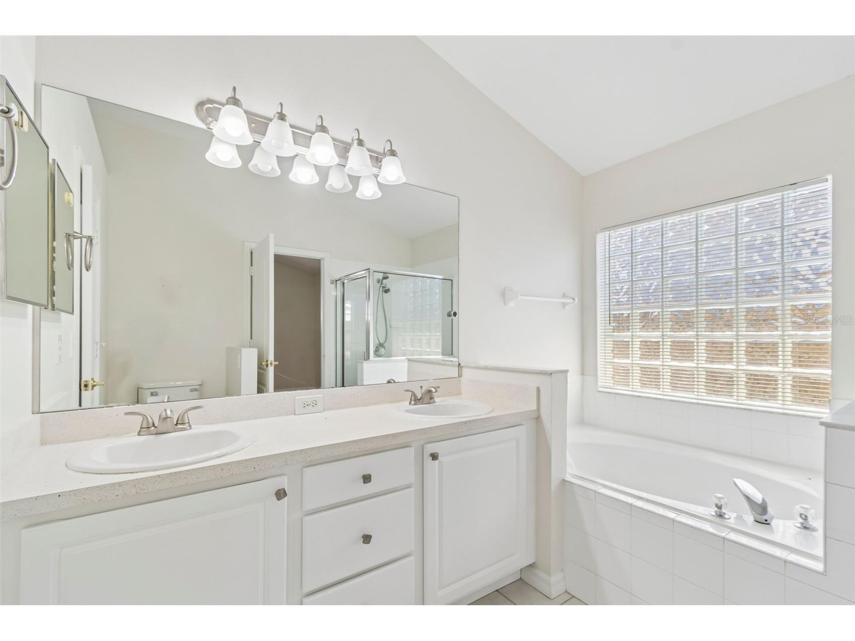 1229 Crimson Clover Lane Wesley Chapel FL 33543 TB8521097 image27