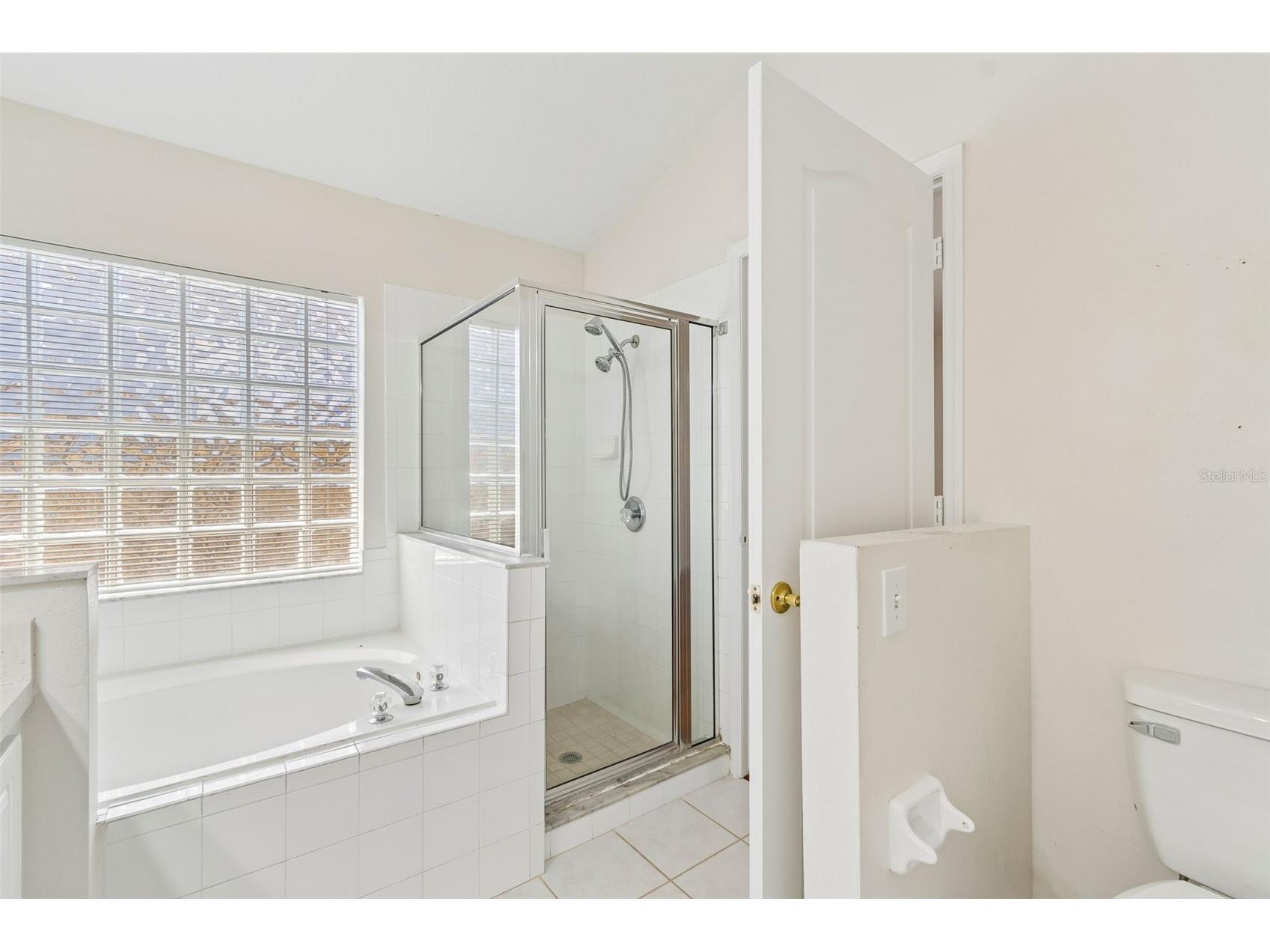 1229 Crimson Clover Lane Wesley Chapel FL 33543 TB8521097 image28