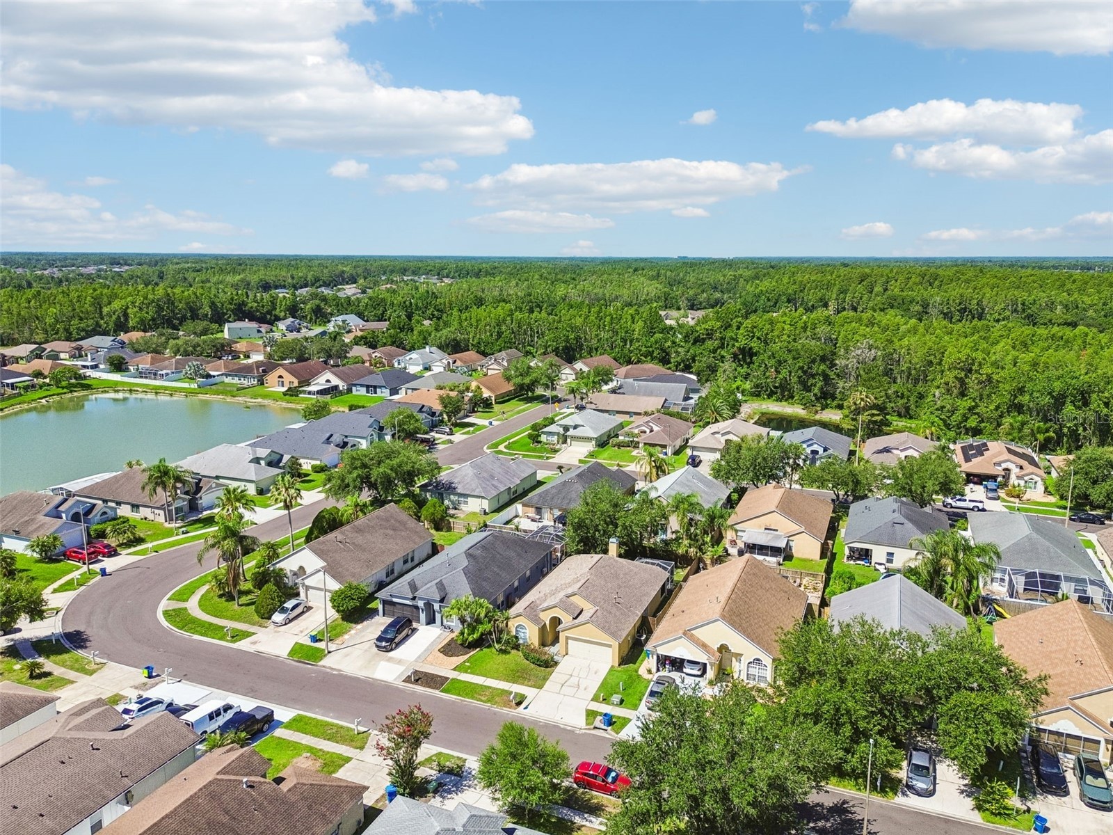 1229 Crimson Clover Lane Wesley Chapel FL 33543 TB8521097 image37