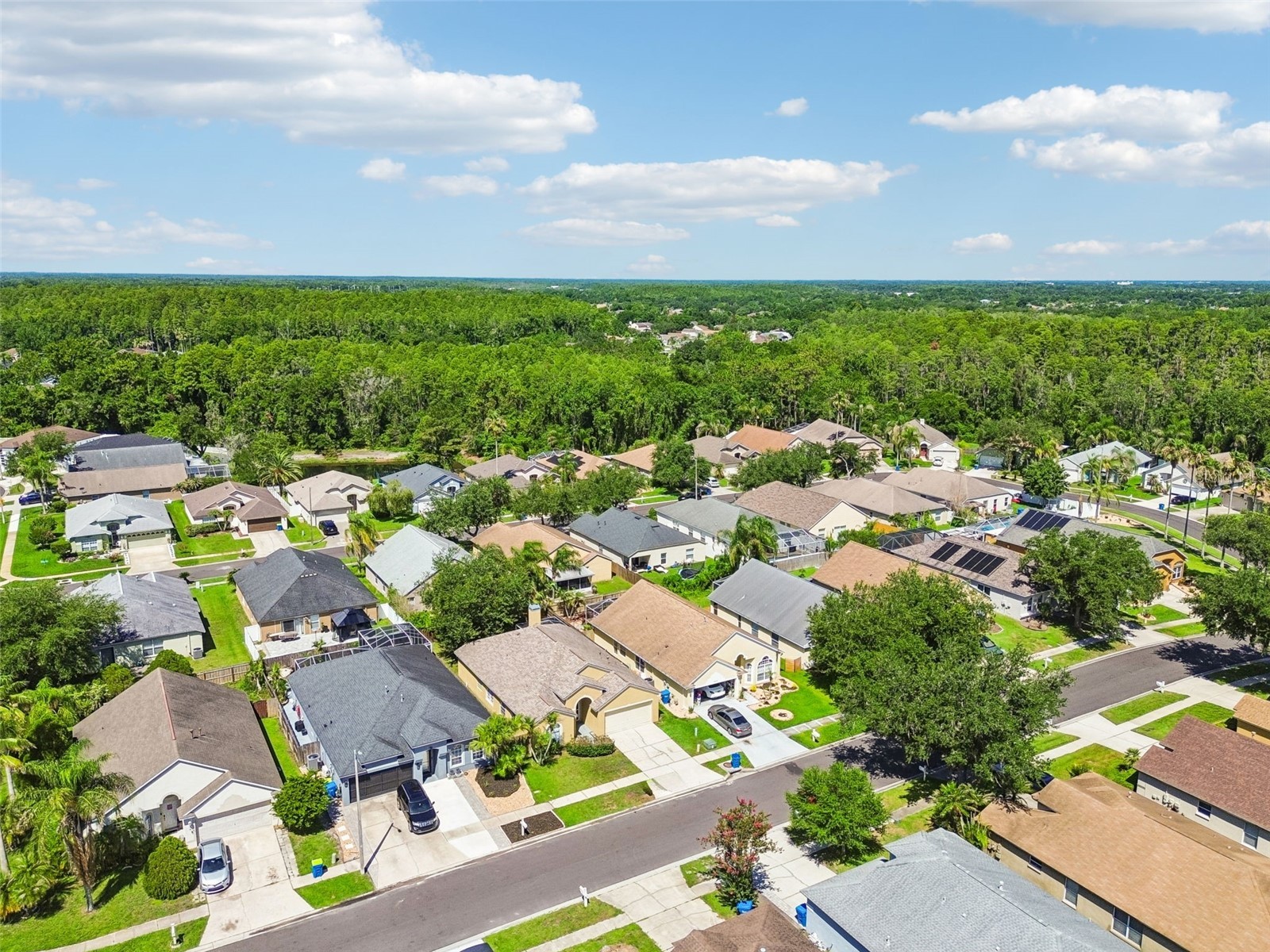 1229 Crimson Clover Lane Wesley Chapel FL 33543 TB8521097 image38