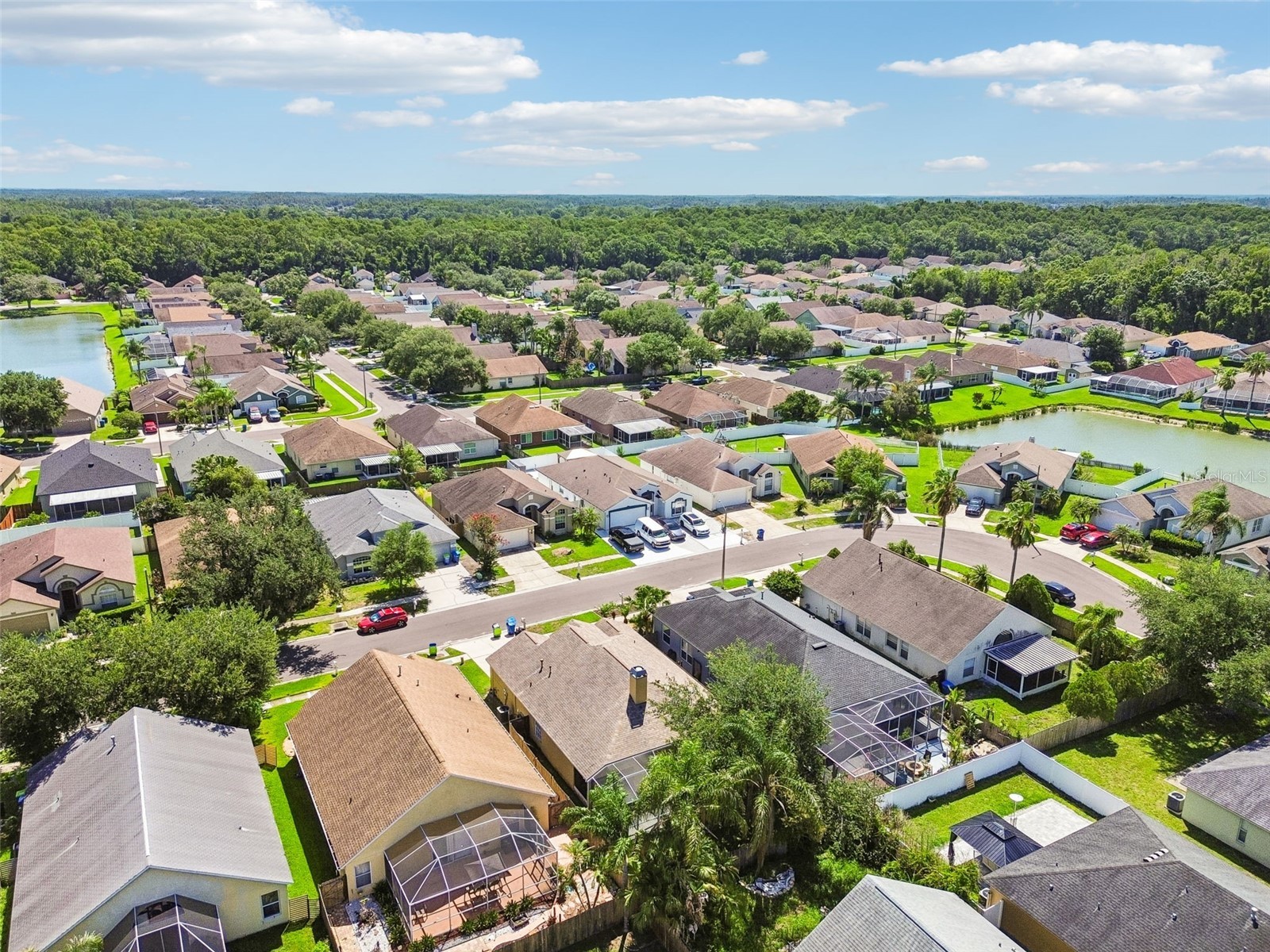 1229 Crimson Clover Lane Wesley Chapel FL 33543 TB8521097 image39