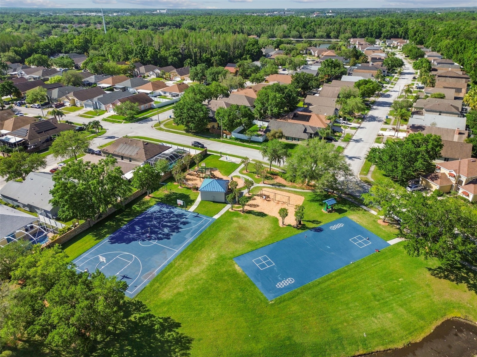 1229 Crimson Clover Lane Wesley Chapel FL 33543 TB8521097 image41