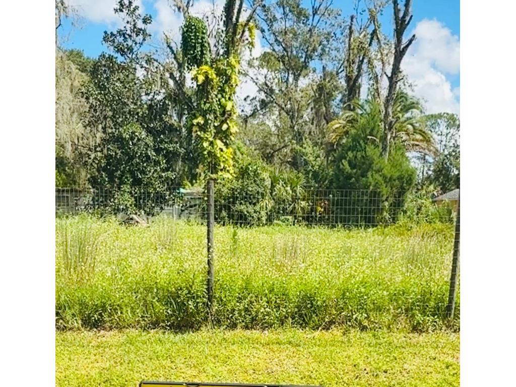 1229 Cupid Avenue Christmas FL 32709 O6347719 image1