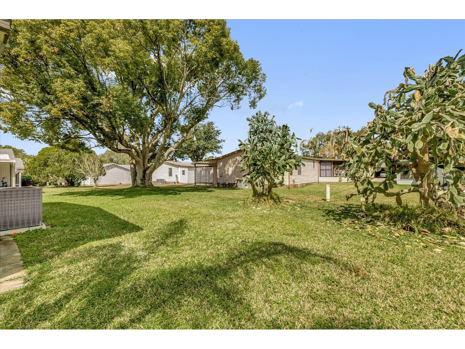 1229 Dustin Drive The Villages FL 32159 G5109153 image25