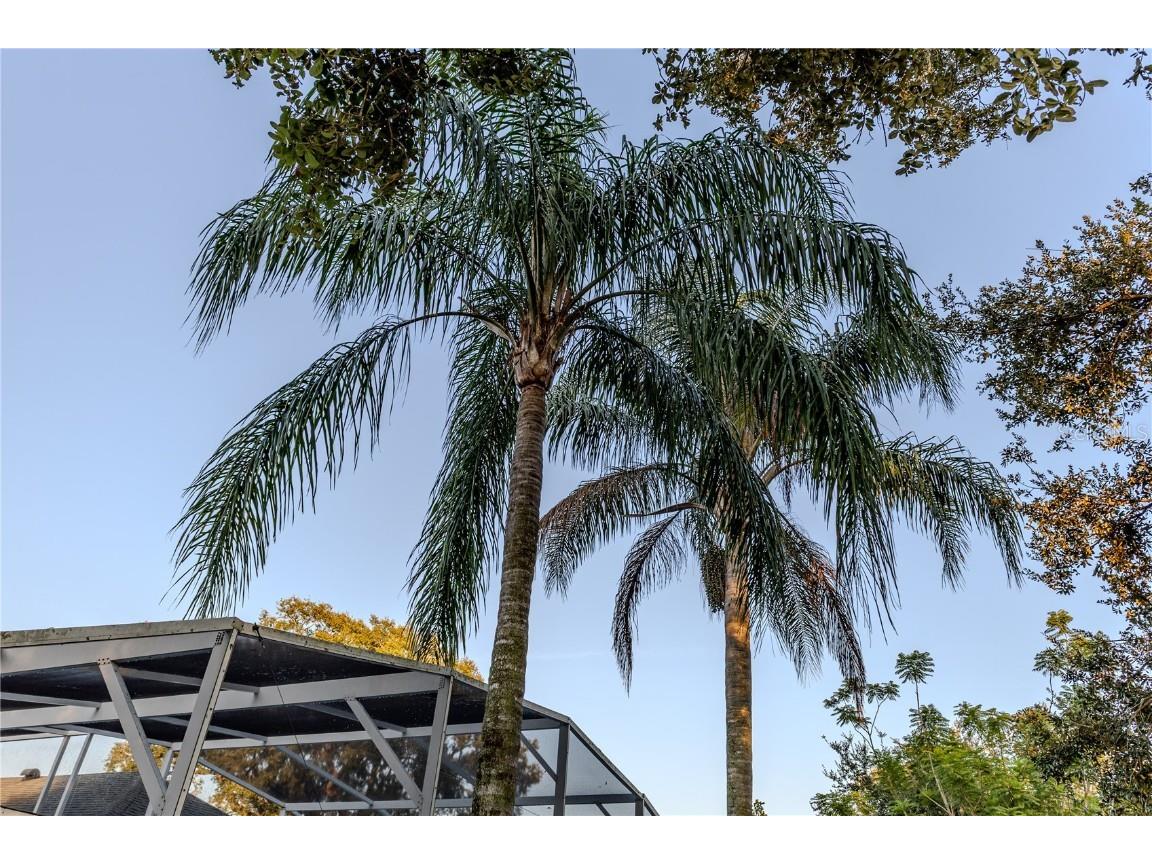 1229 Hancock Circle Saint Cloud FL 34769 S5139976 image28