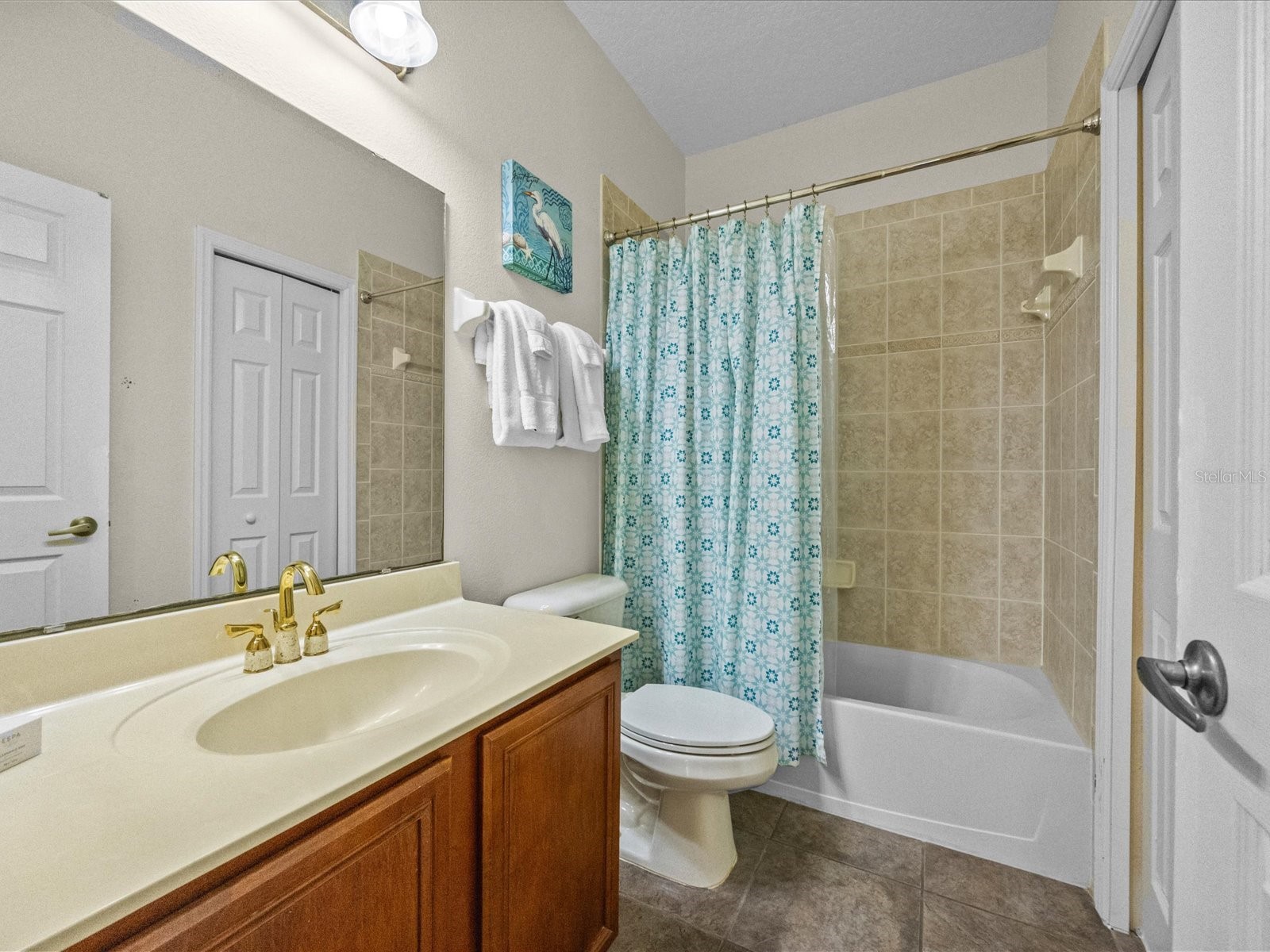 1229 Molona Street Reunion FL 34747 S5146678 image21