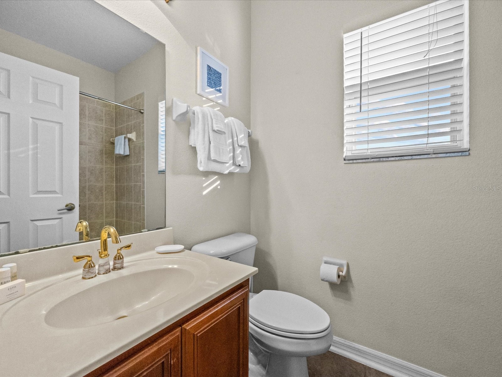 1229 Molona Street Reunion FL 34747 S5146678 image27