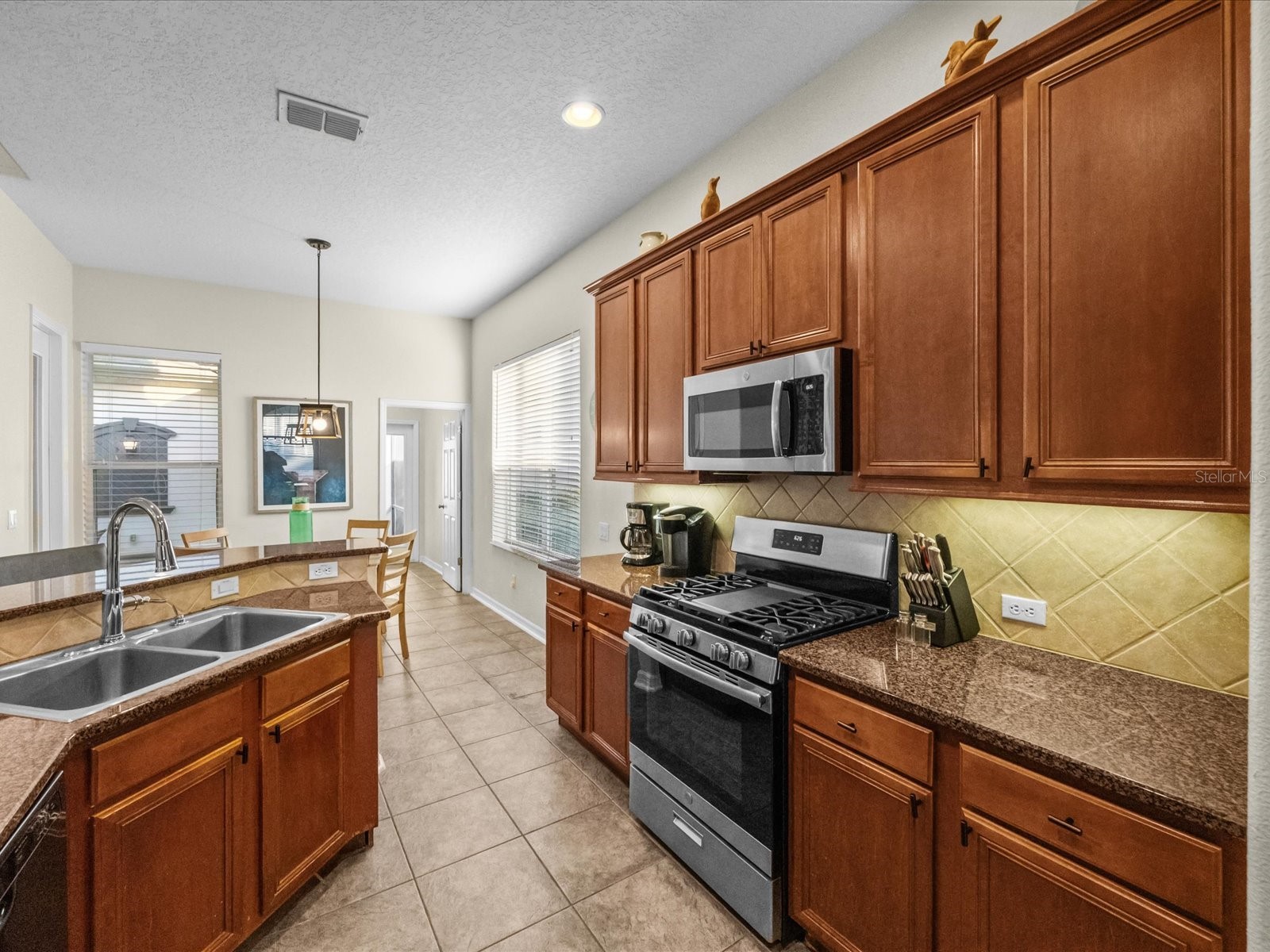 1229 Molona Street Reunion FL 34747 S5146678 image9