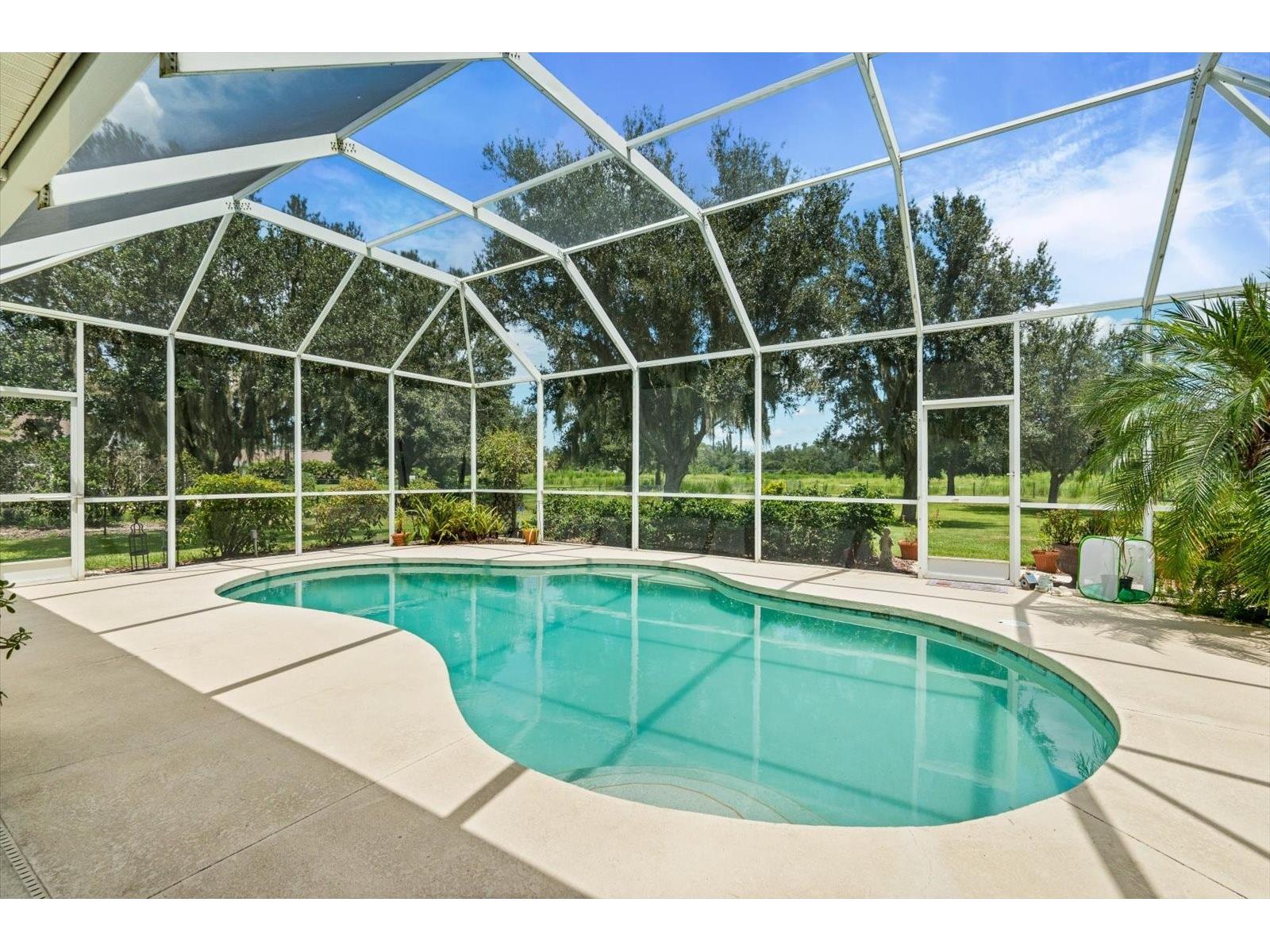 1229 Palm View Road Sarasota FL 34240 A4661728 image53