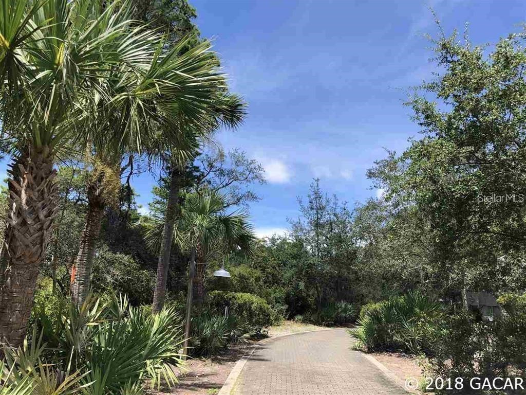 12290 Anchor Cove Drive Cedar Key FL 32625 GC531728 image29