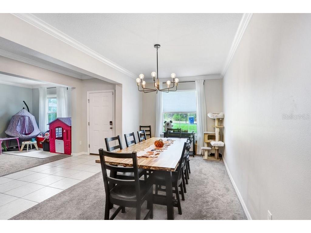 12290 Quigley Avenue Brooksville FL 34614 TB8420523 image11