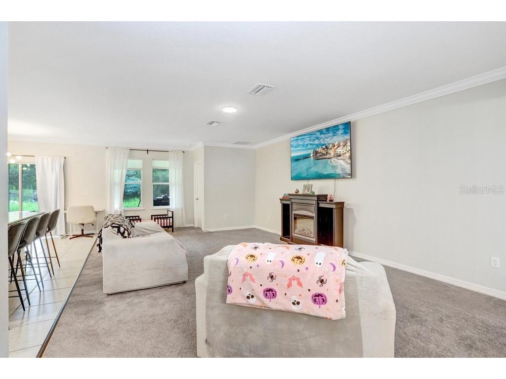 12290 Quigley Avenue Brooksville FL 34614 TB8420523 image7