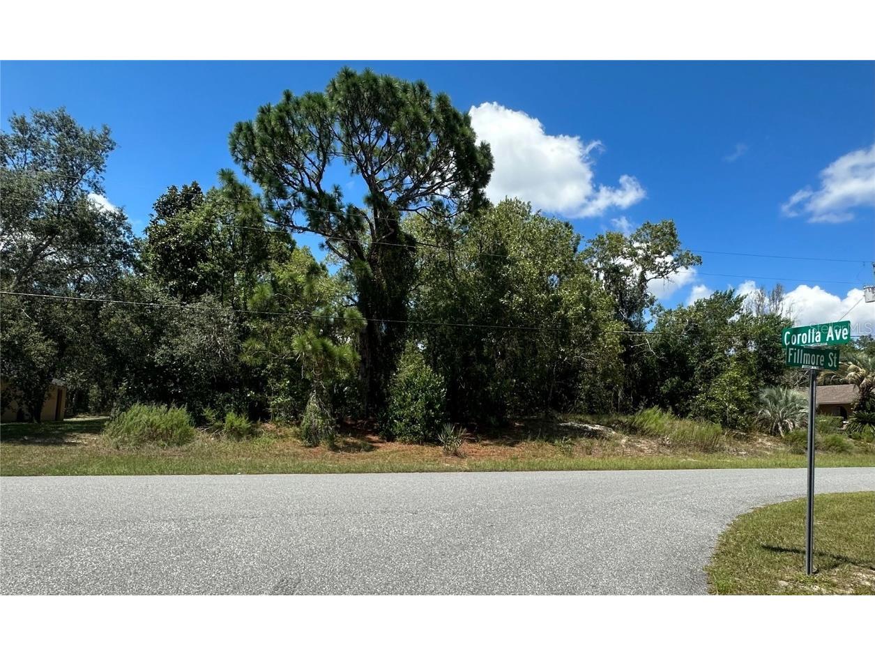 12291 Fillmore Street Spring Hill FL 34609 U8227147 image1